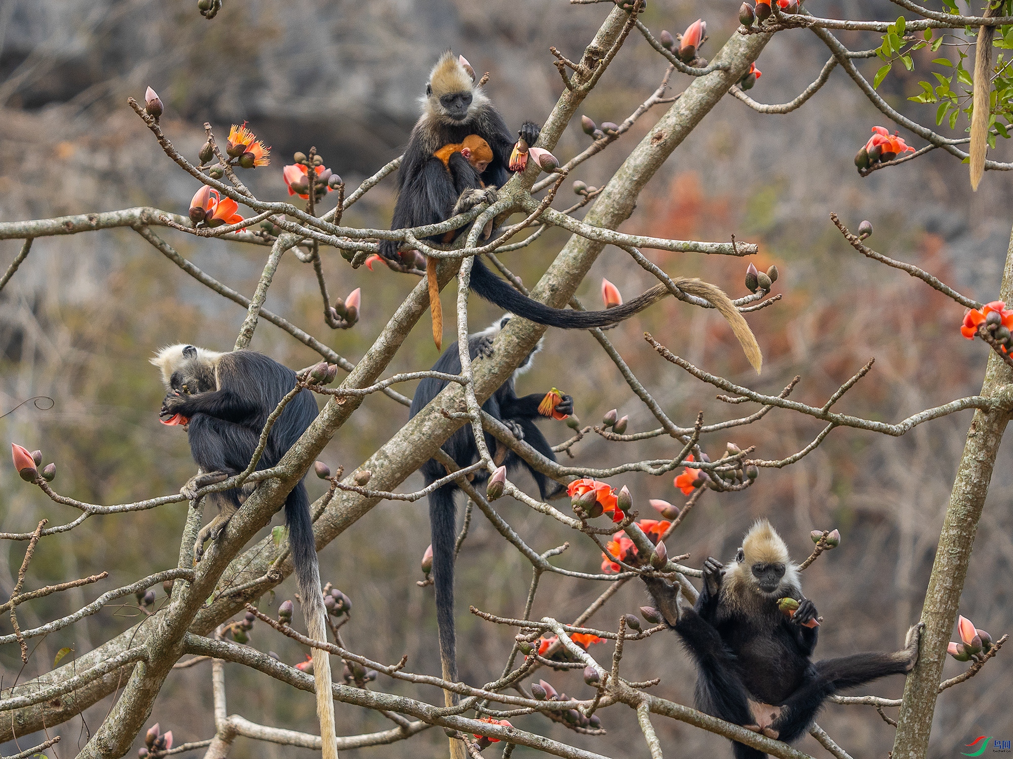 DSC05985 ����.jpg