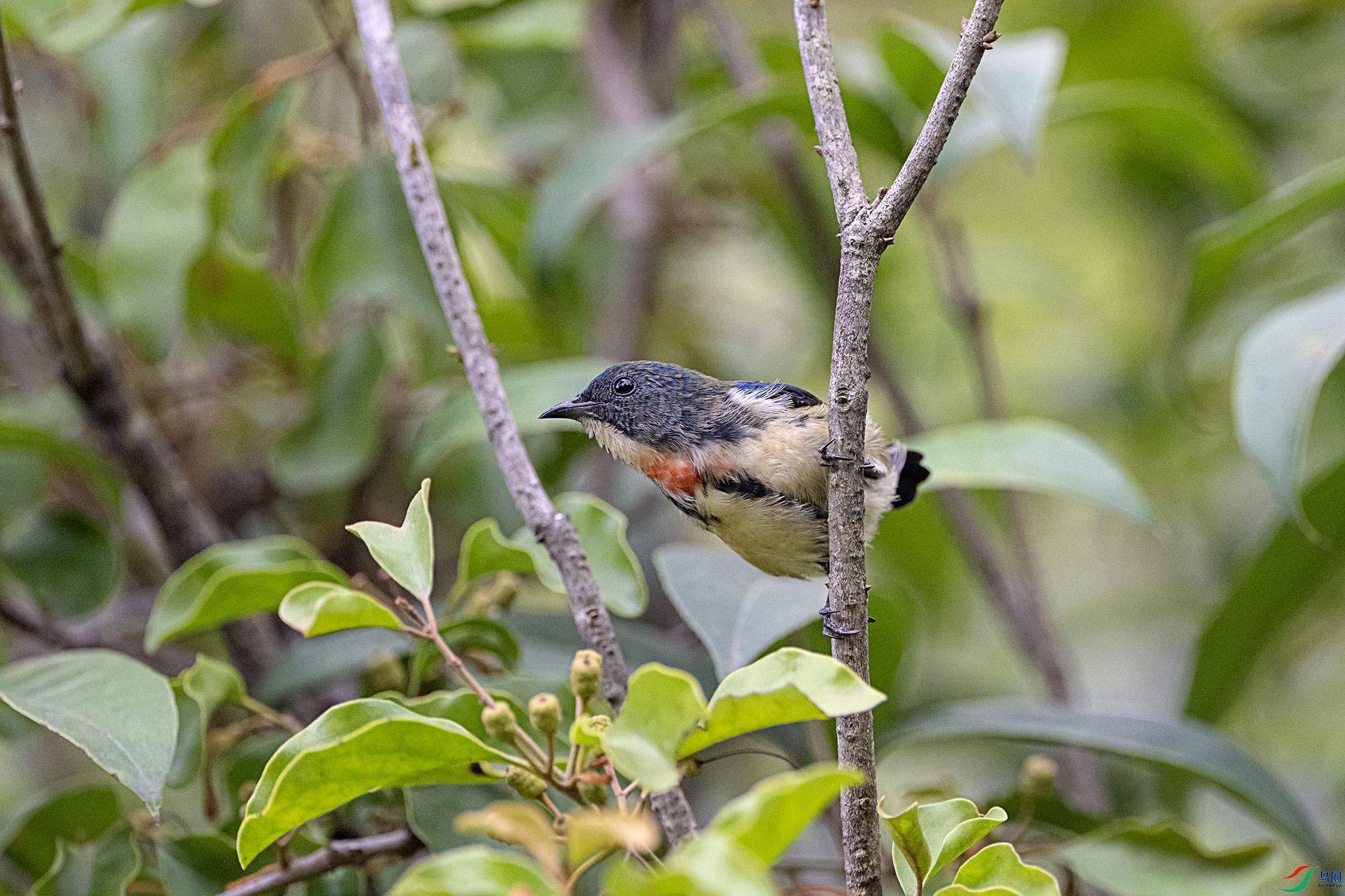 DSC_2707.jpg