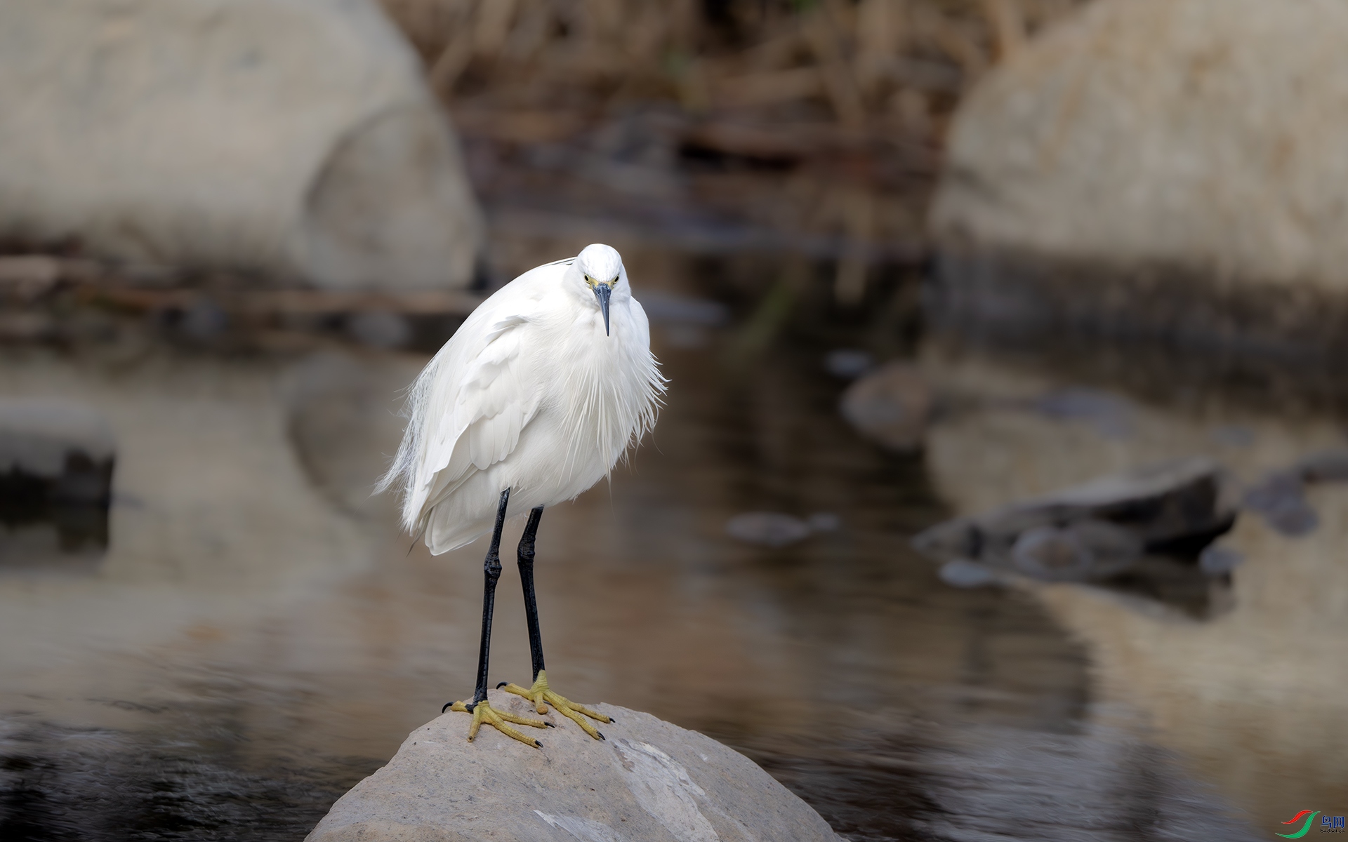 DSC_3554-����ǿ-NR ����.jpg