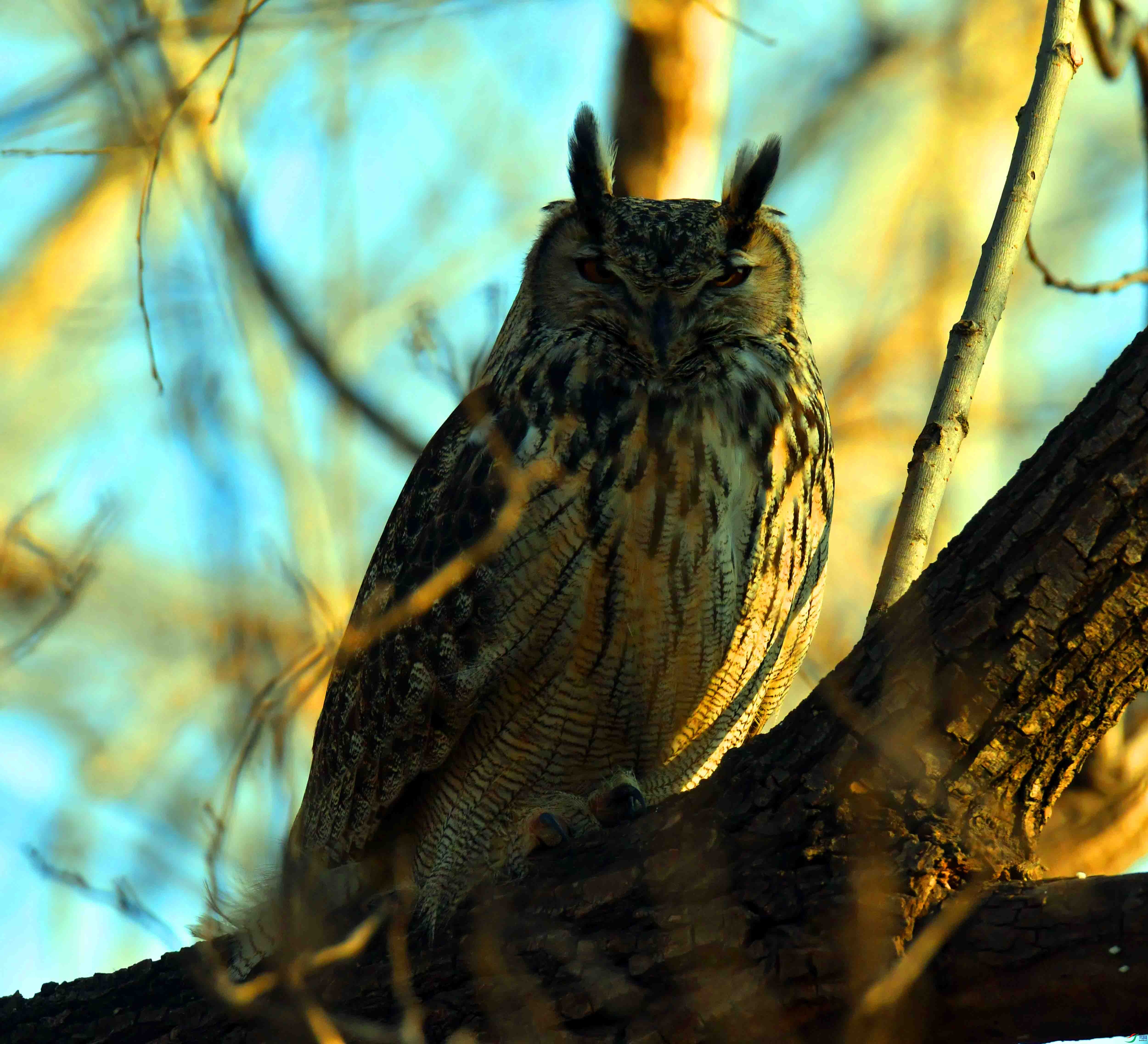 DSC_5674.JPG
