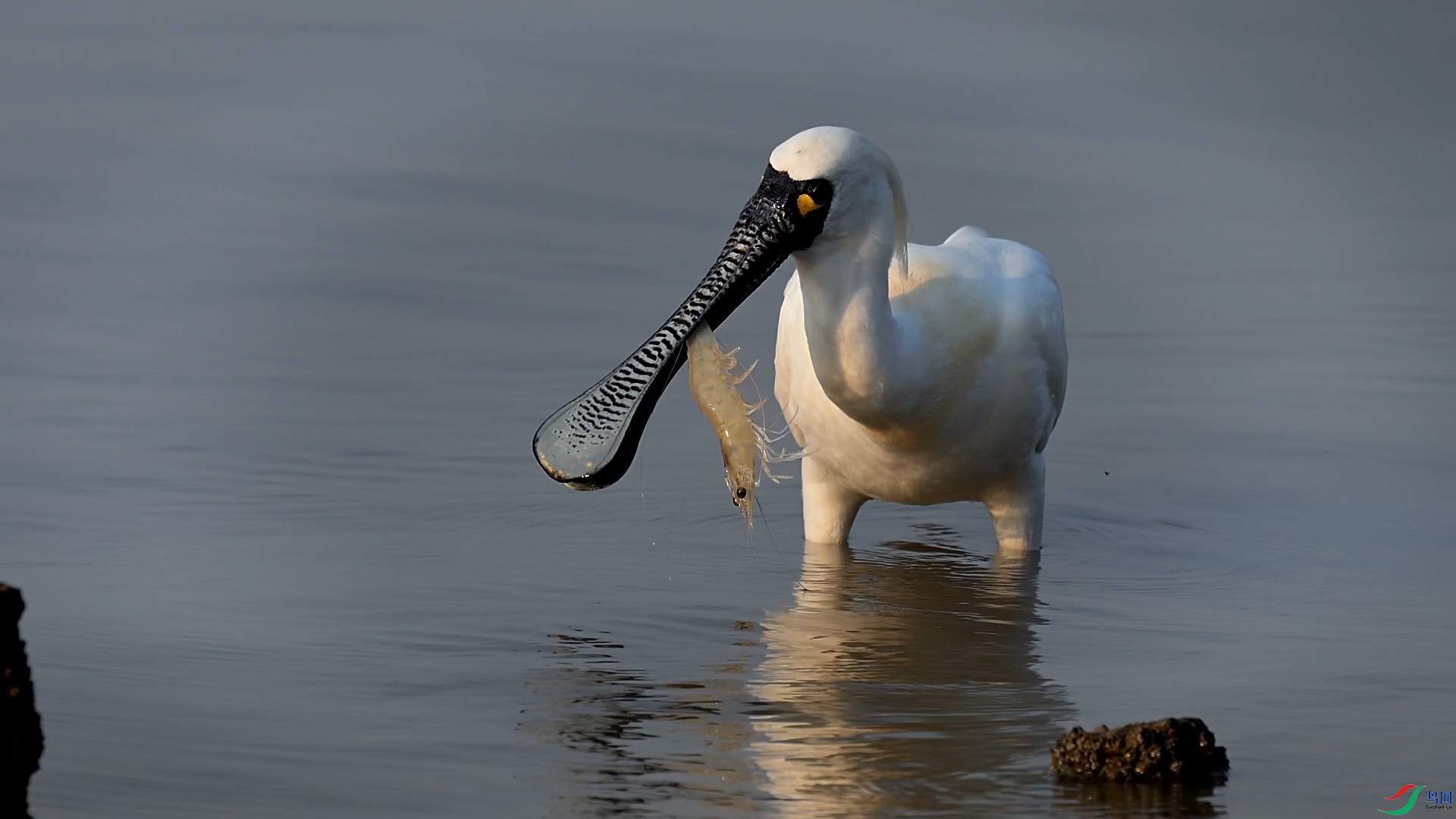 ��1���������ش��� (0-00-01-01).jpg