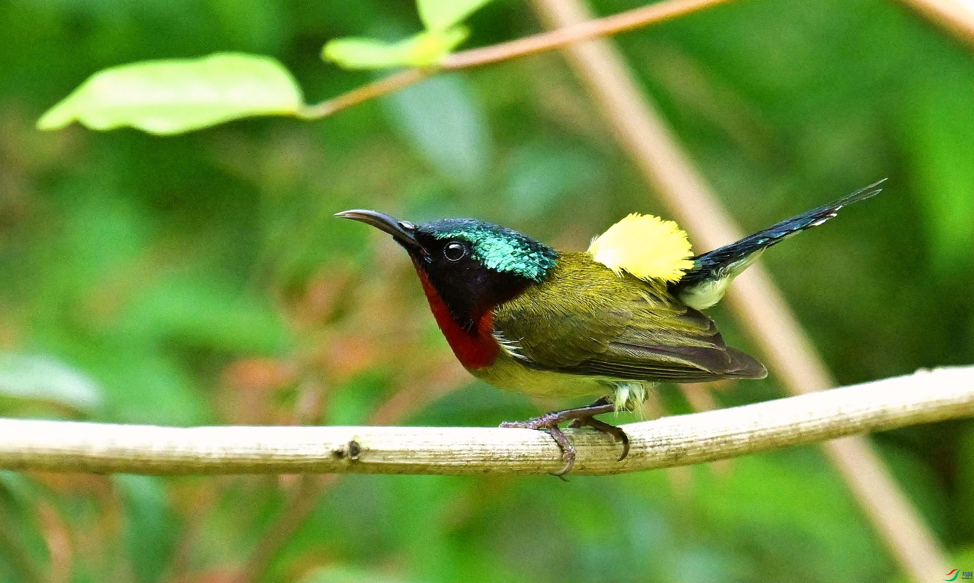DSC_7867_����.jpg
