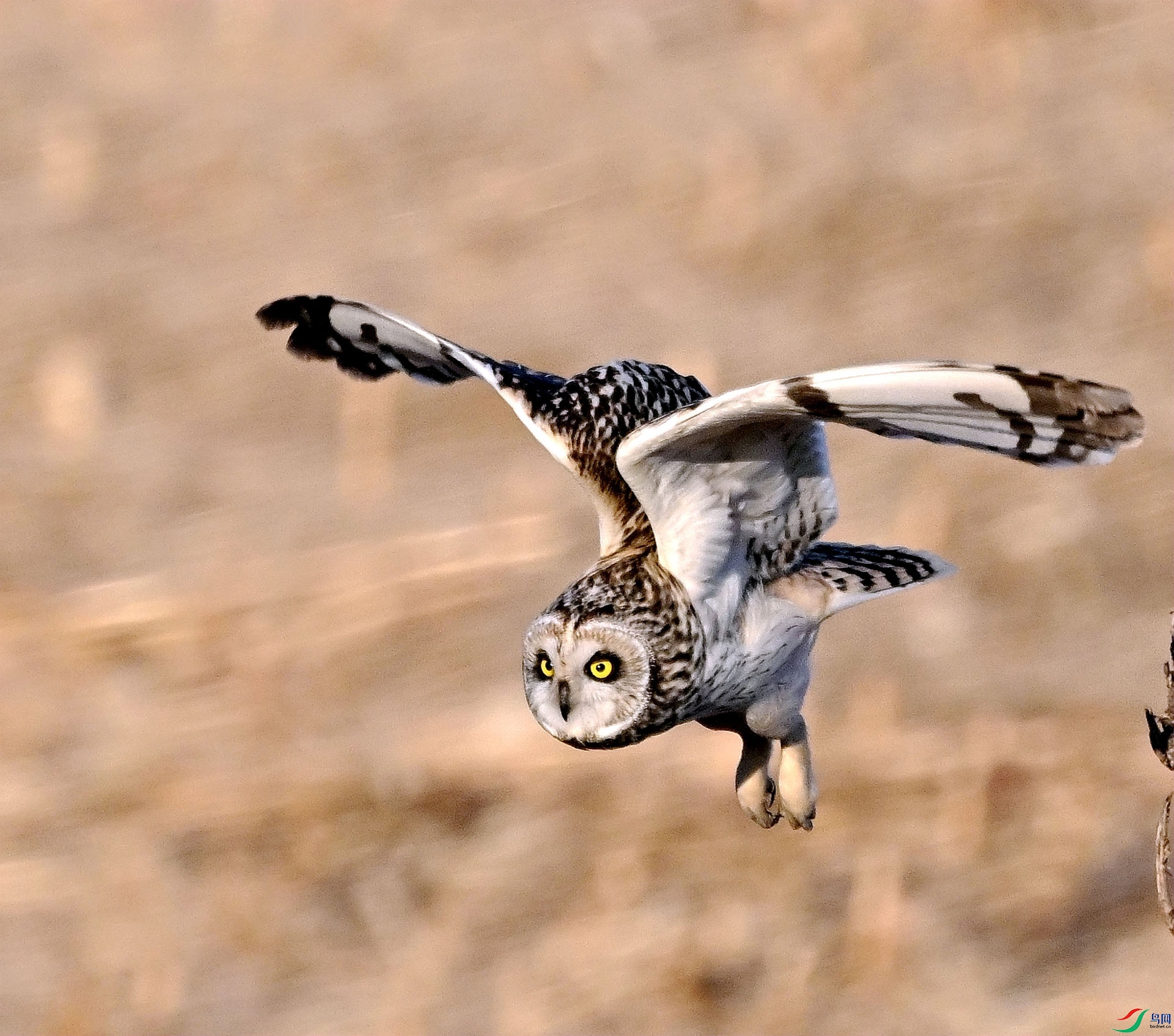 ��Ȼ�г�򣬾�Ҫӵ�����