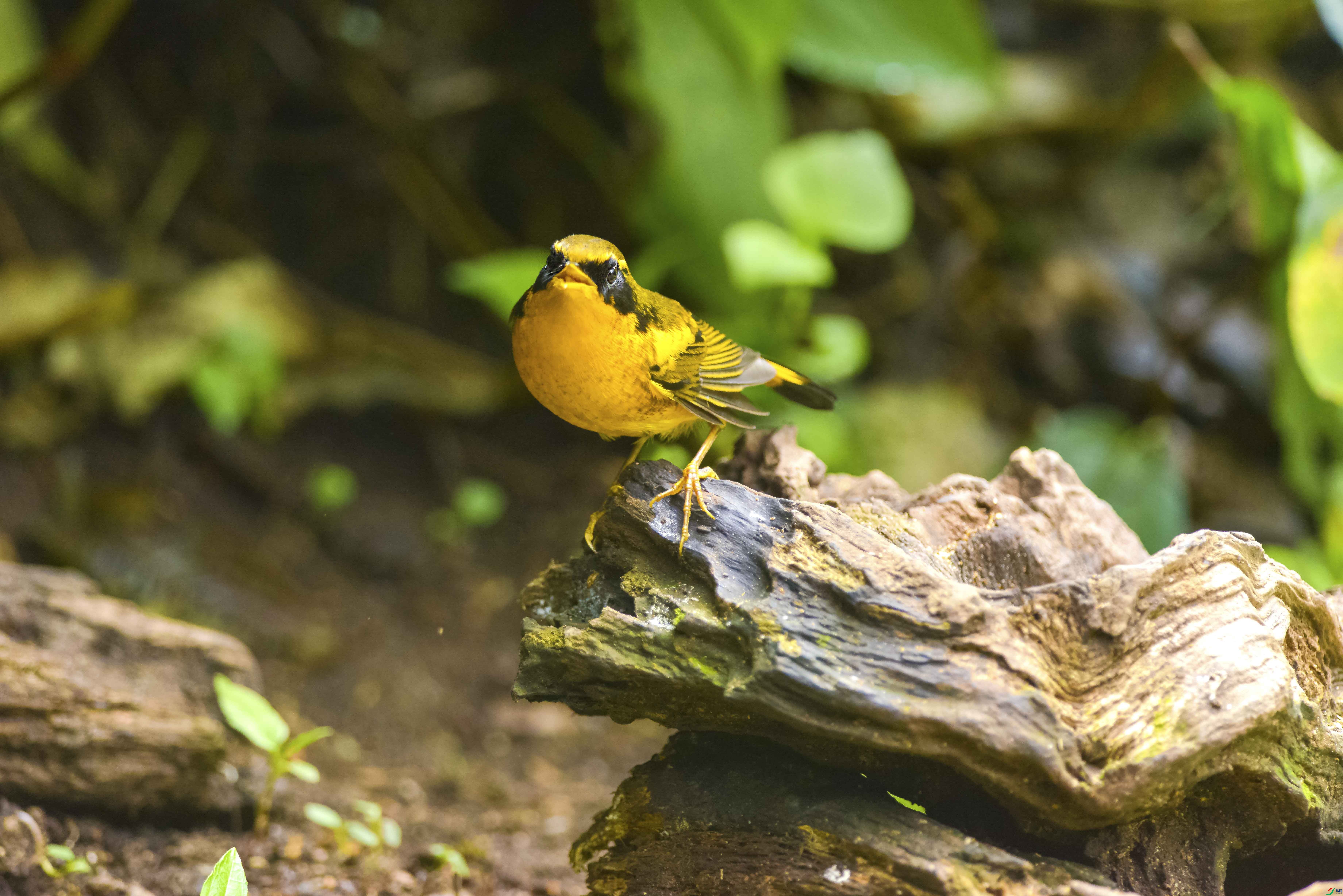 DSC_3141.jpg