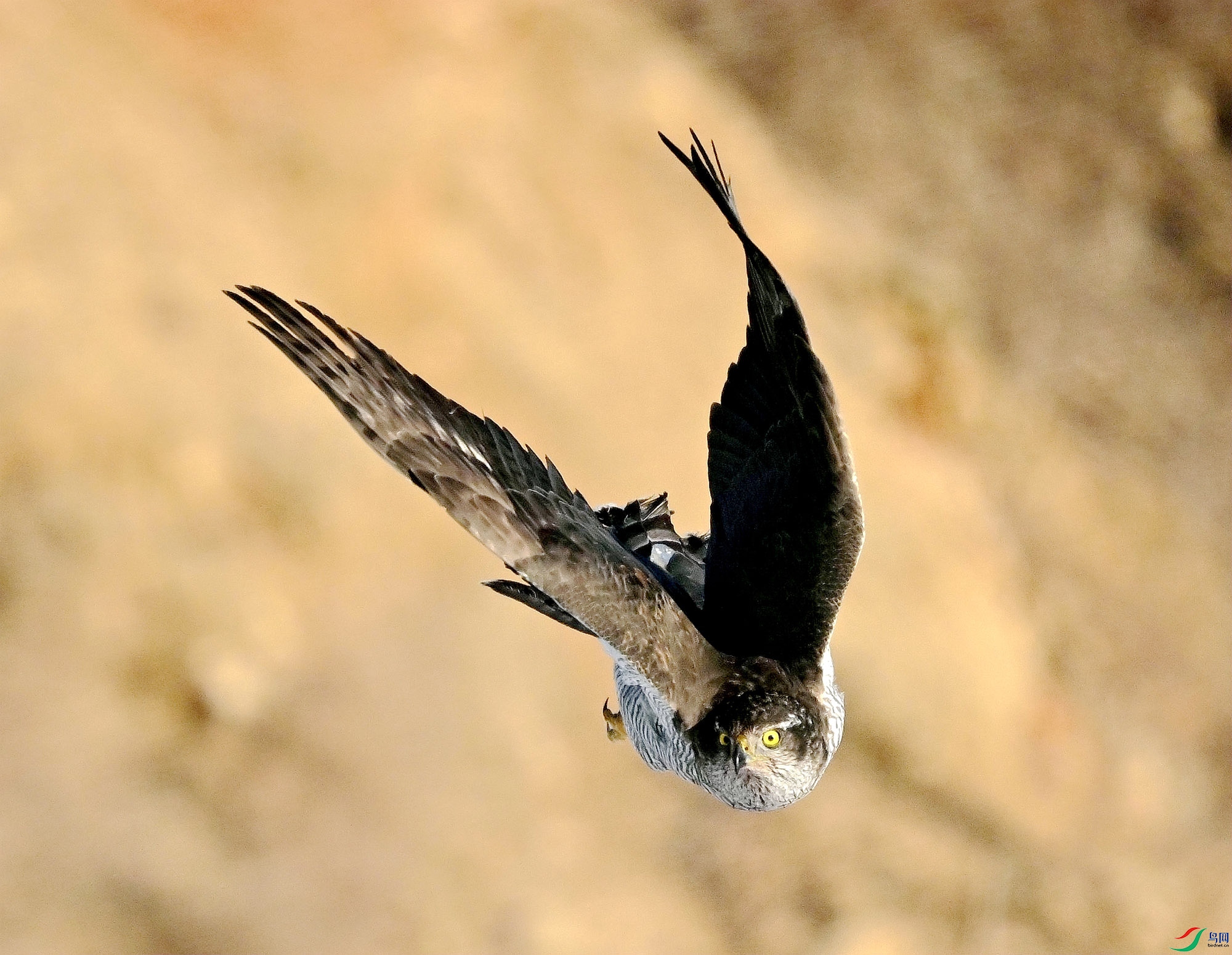 �г���Ҫ����