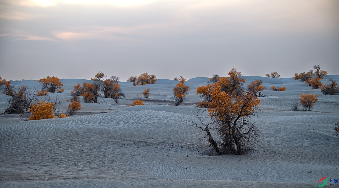 _DSC5241 ����.jpg