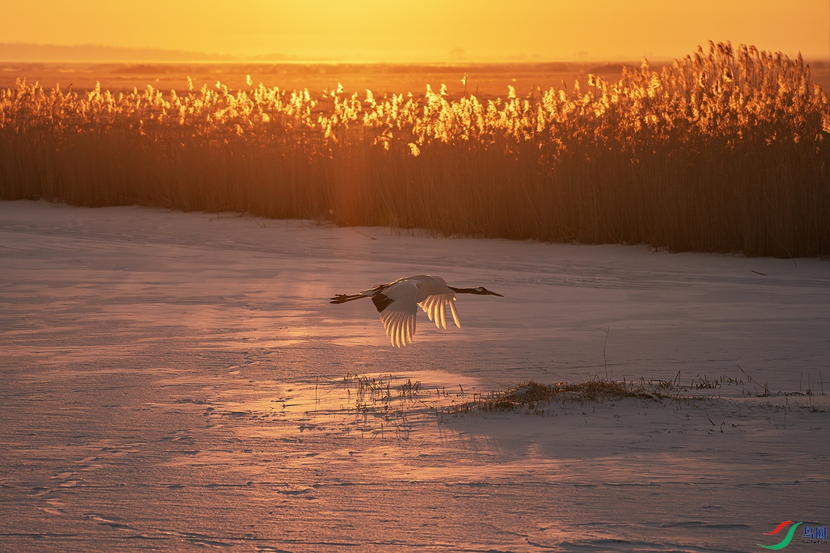 DSC00152-����ǿ-NR ����.jpg