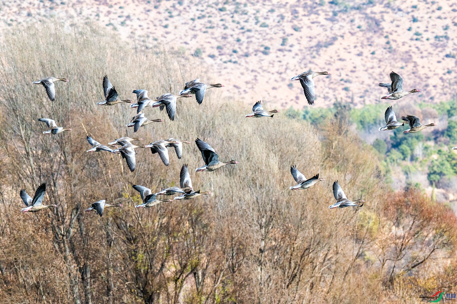 �ٻ���_2_251230_375 0.jpg