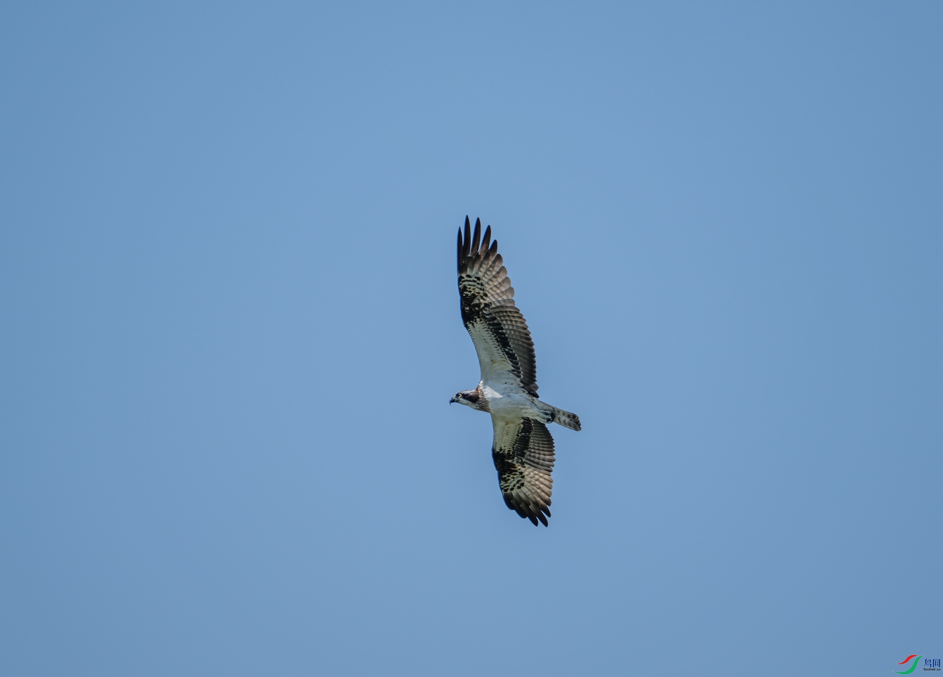 DSC_1728.jpg