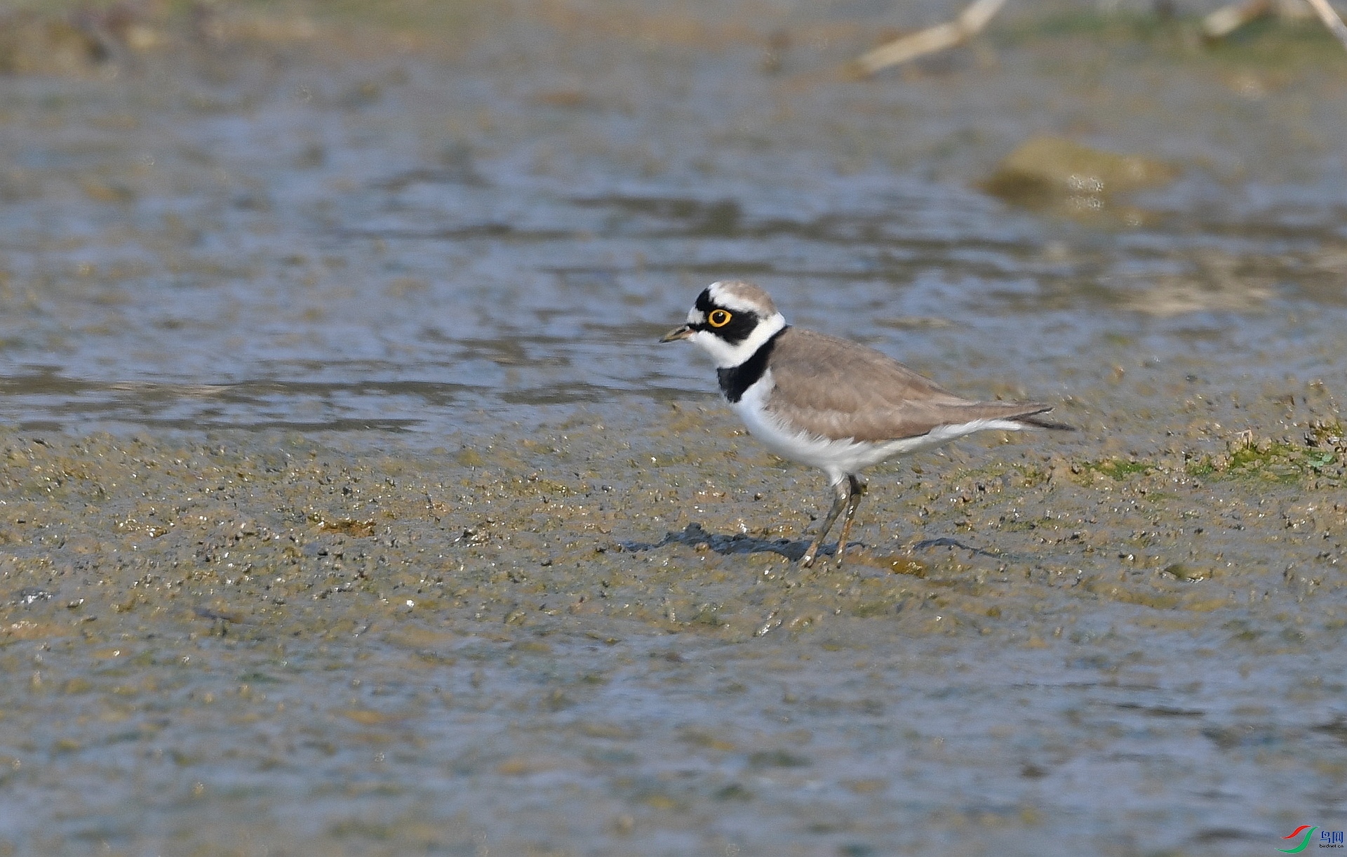 DSC_6759.jpg
