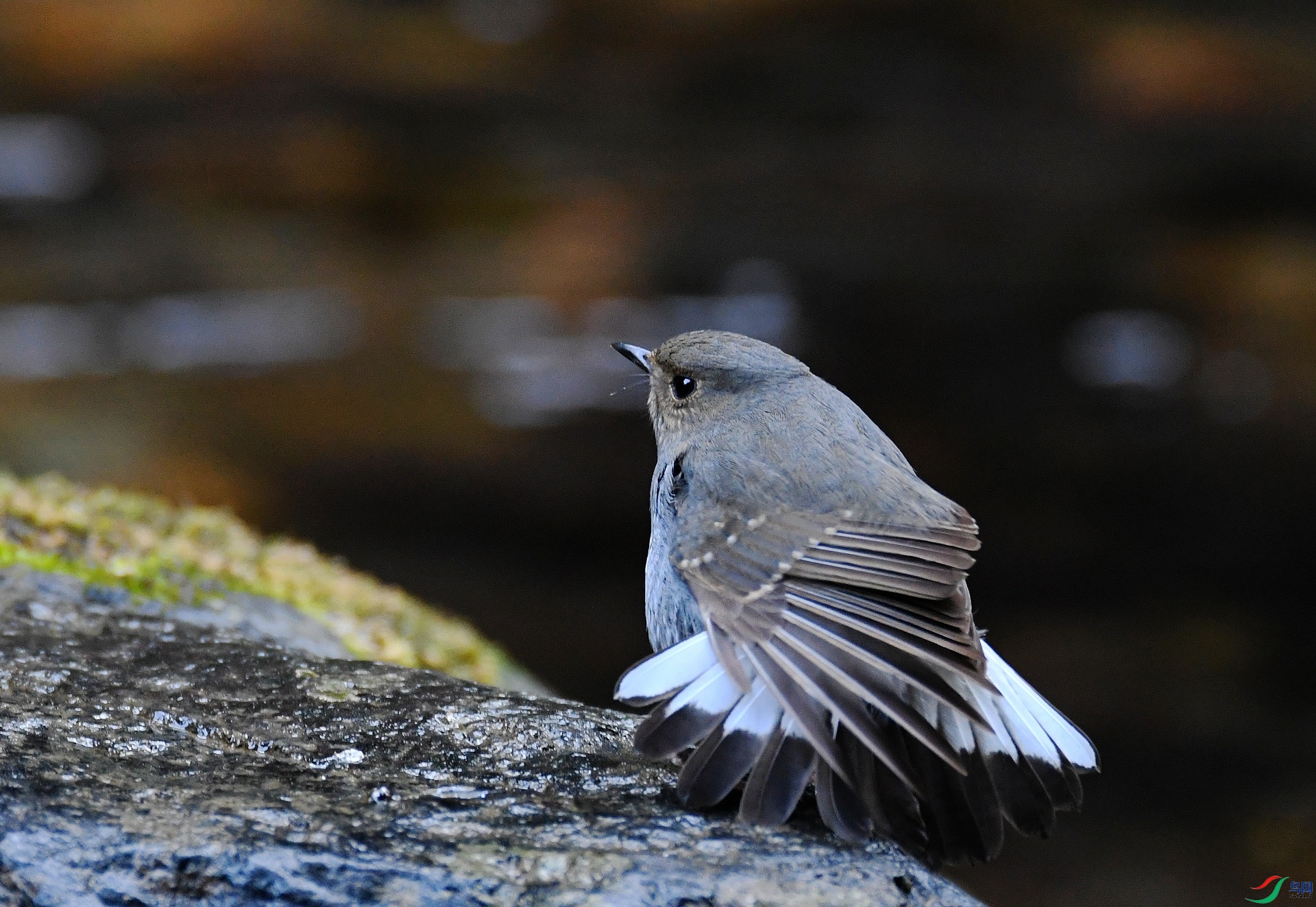 DSC_5069.jpg