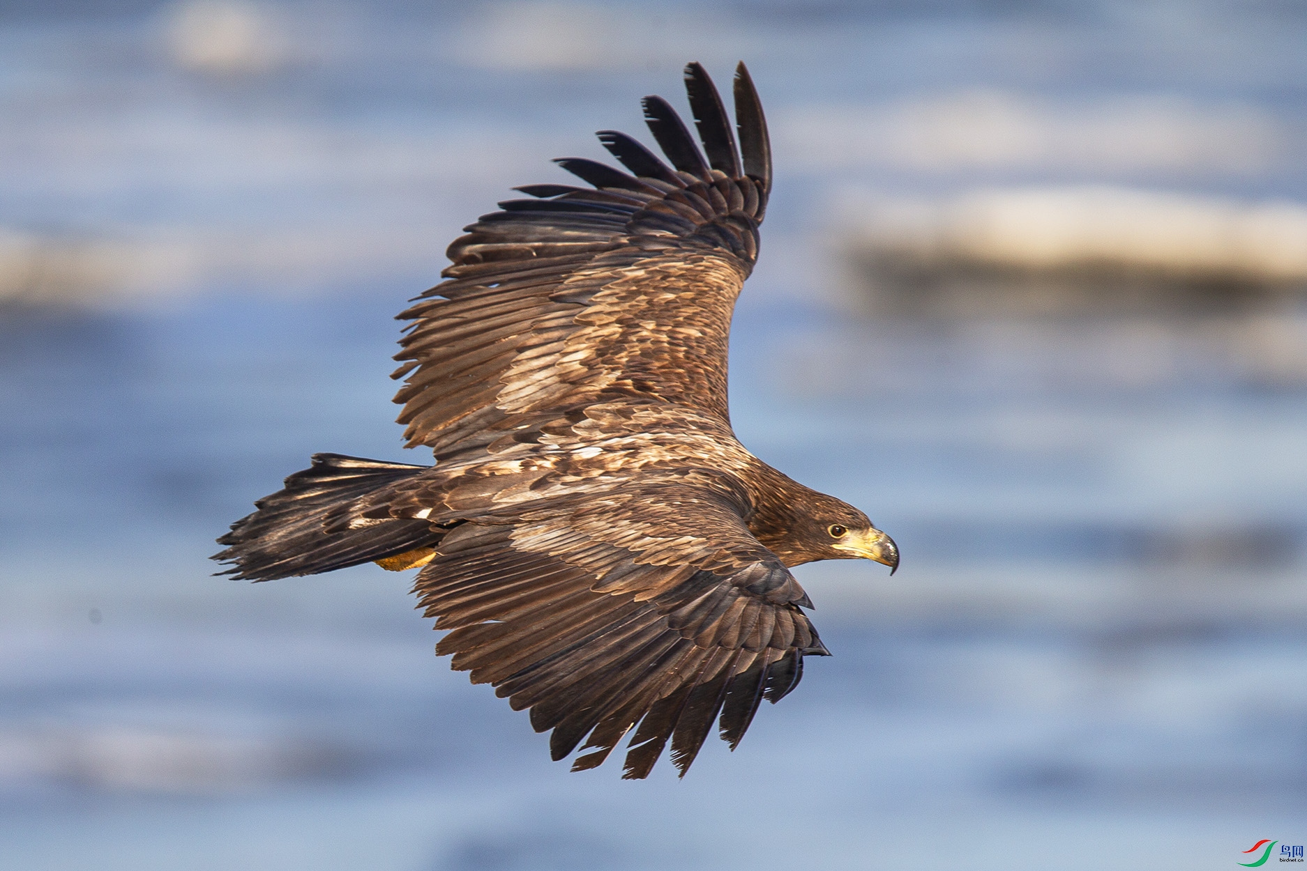 _MG_0338 ����.jpg