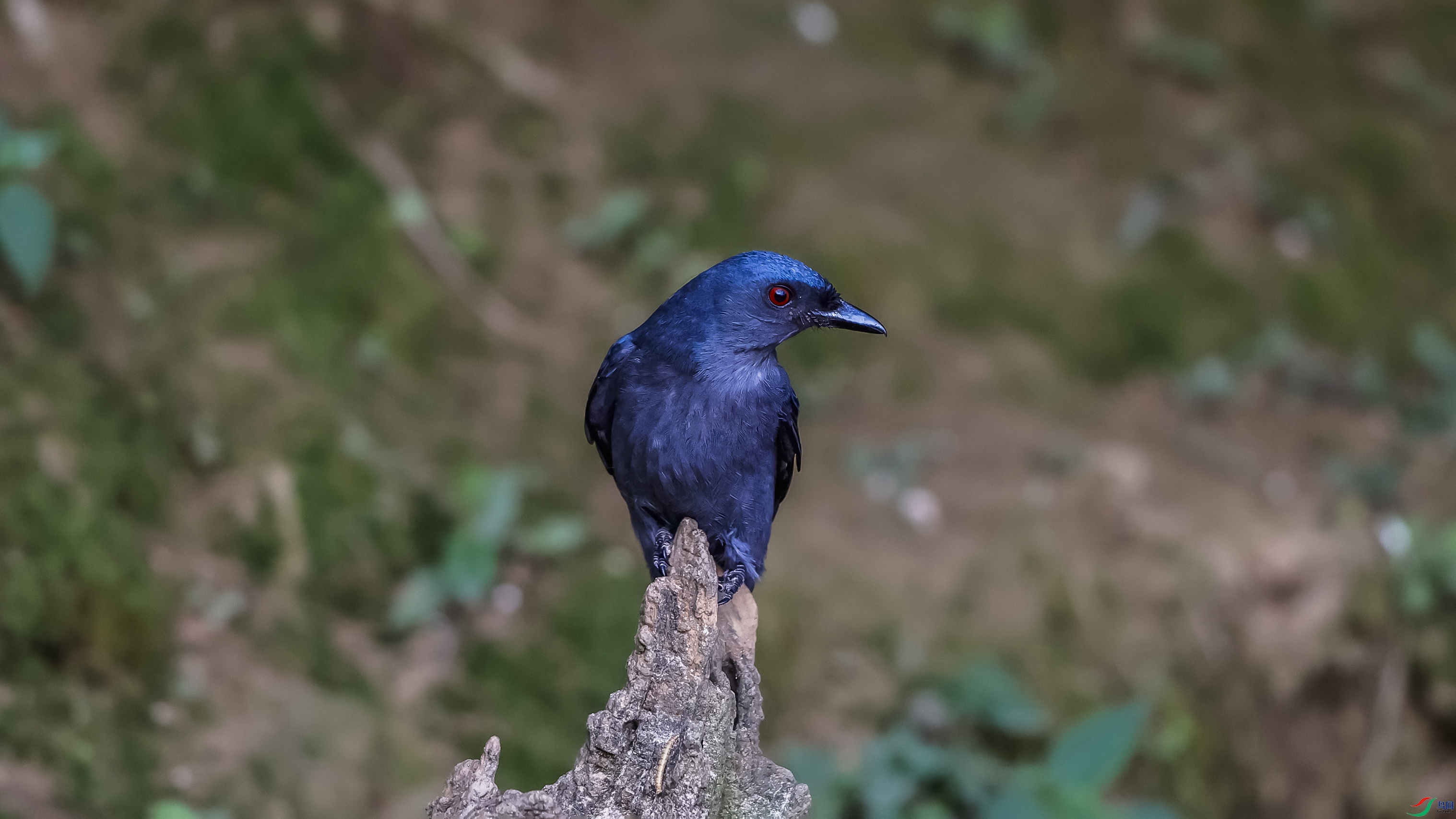 _O7A3895444.jpg