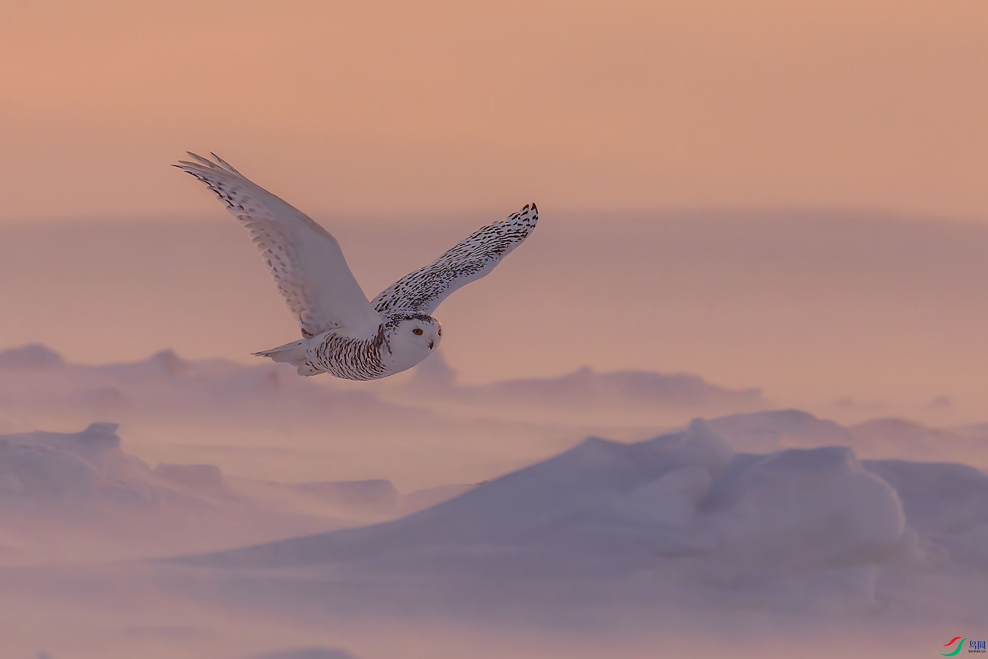 0F7A4838 ����.jpg