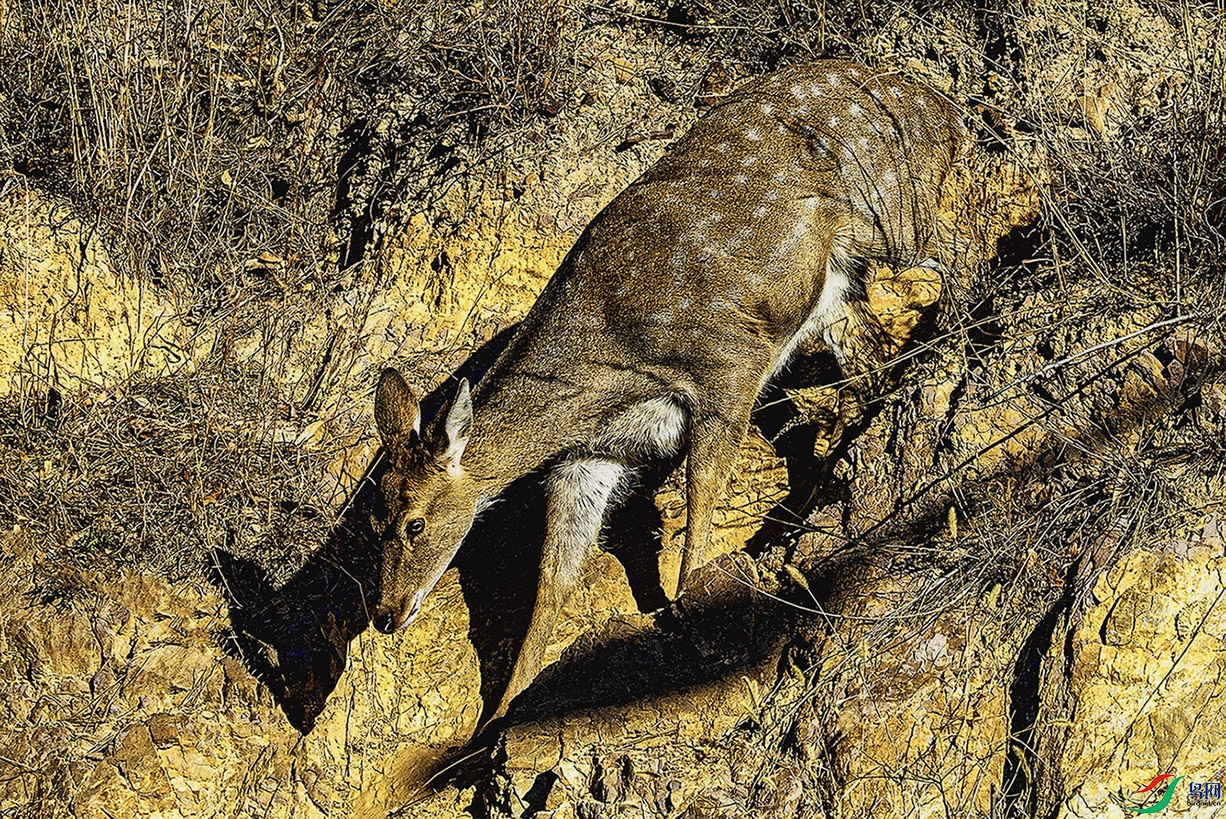 _MG_4264 ���� 6.jpg