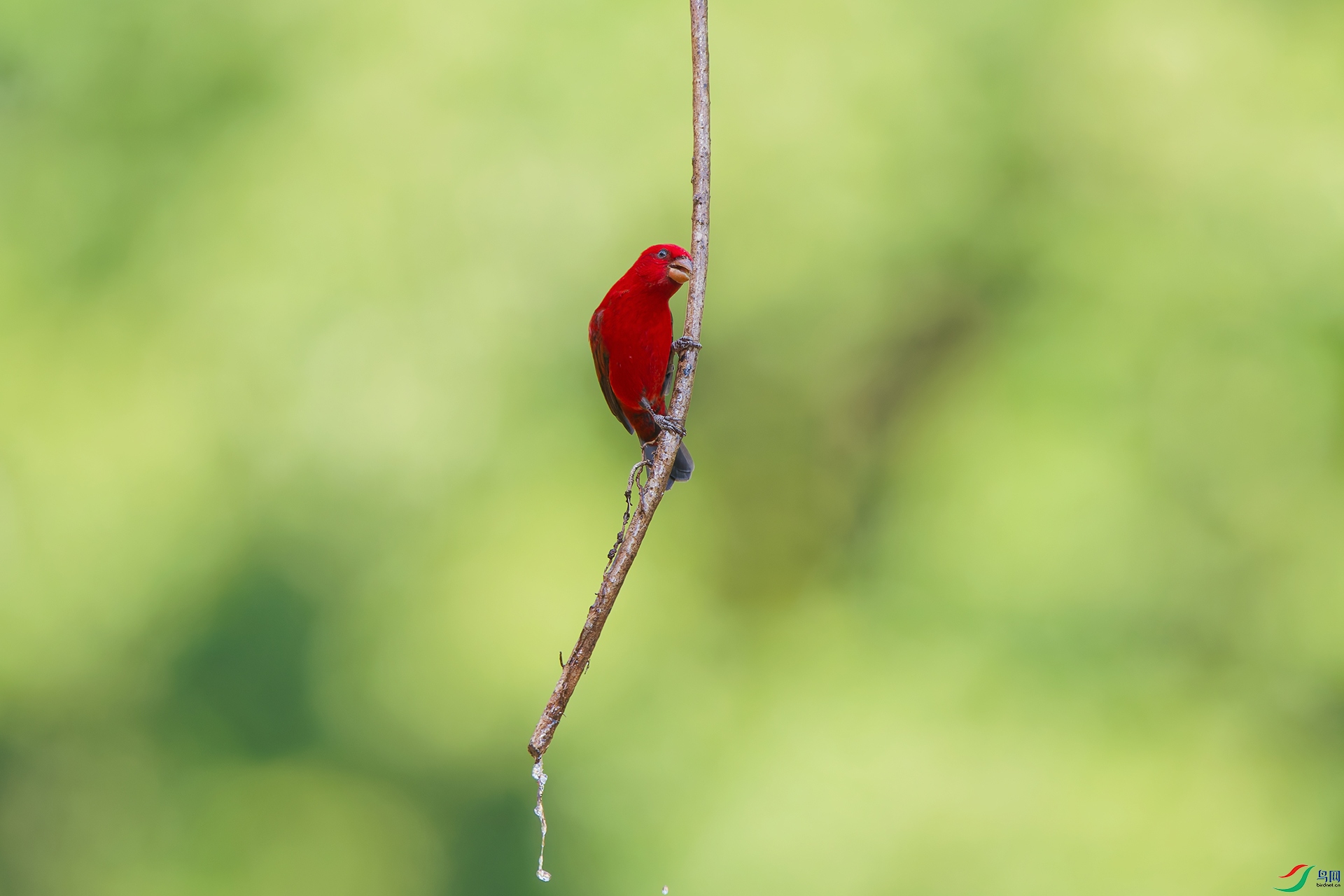 3DSC_8351_DxO_DxOa.jpg