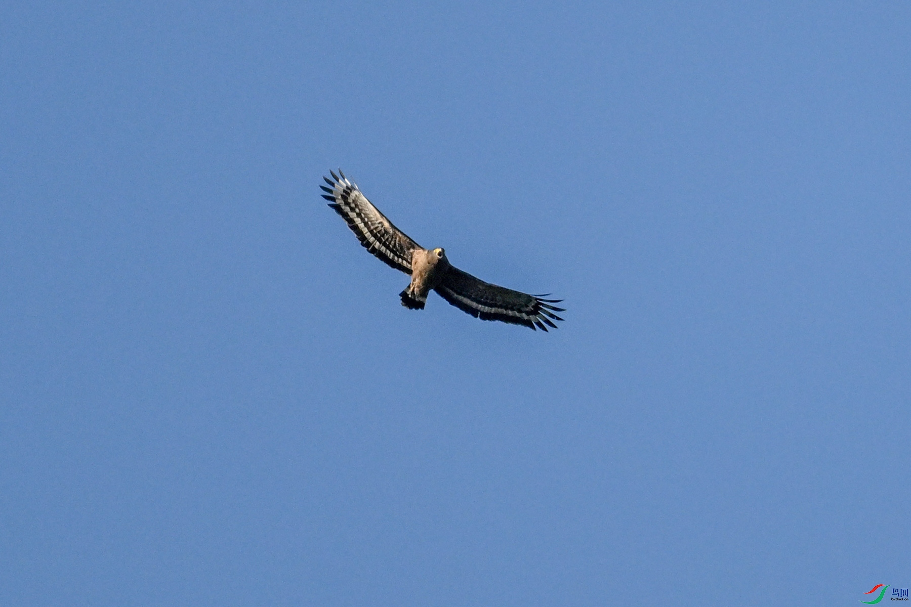 DSC_6196.JPG