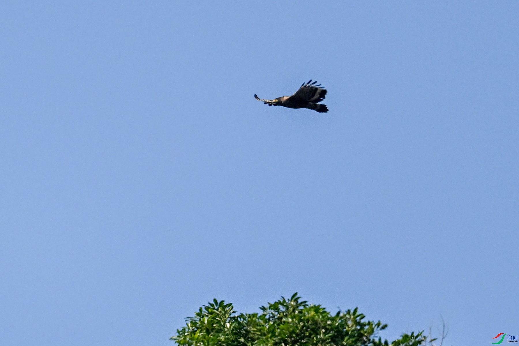 DSC_6215.JPG