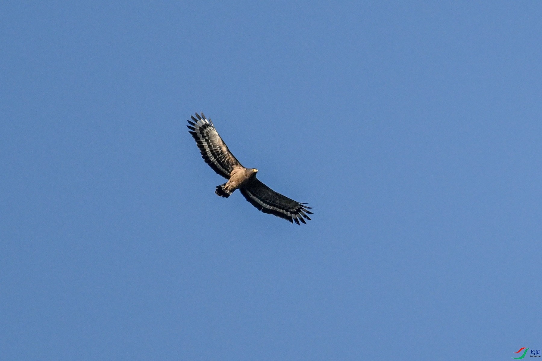 DSC_6200.JPG