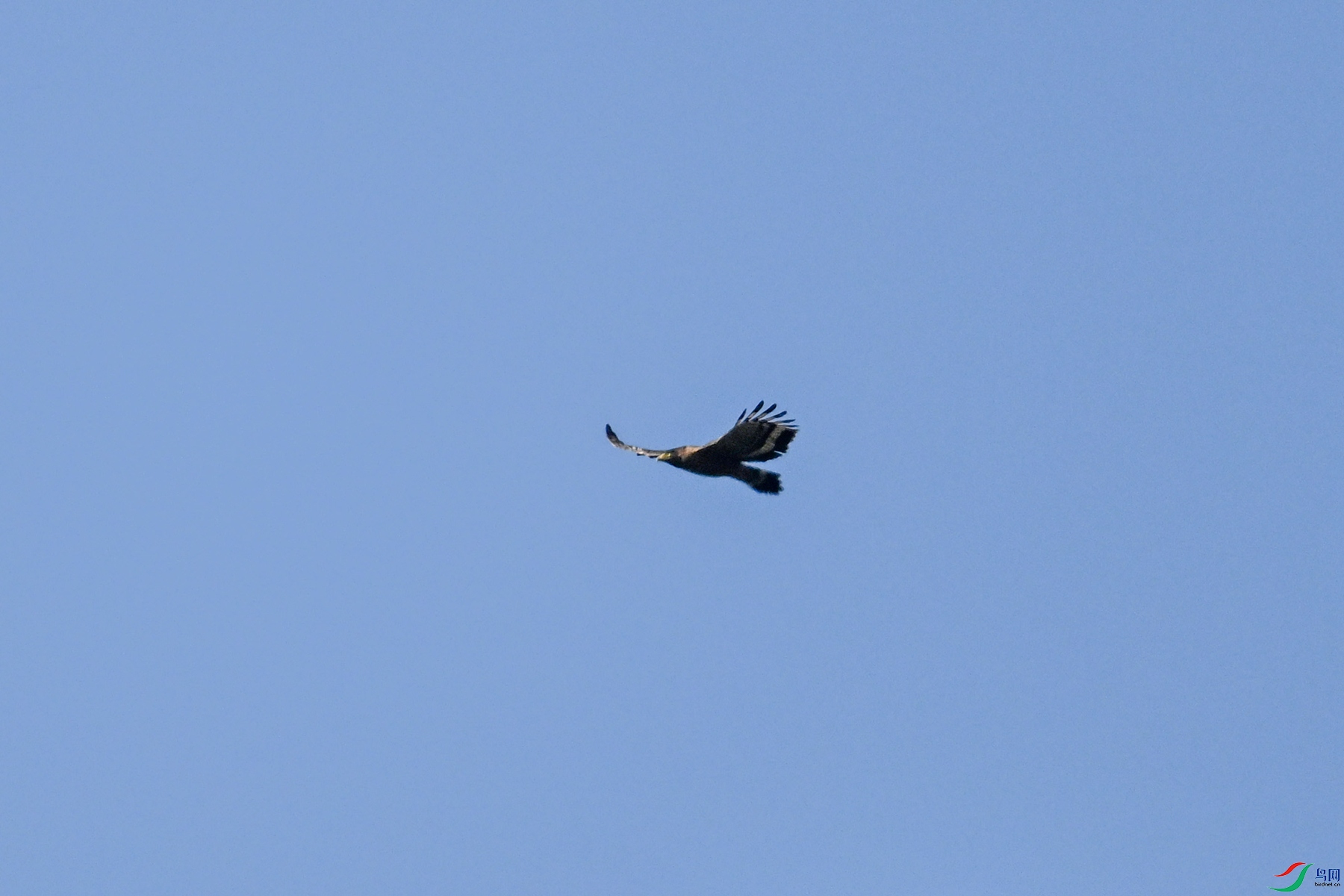 DSC_6219.JPG