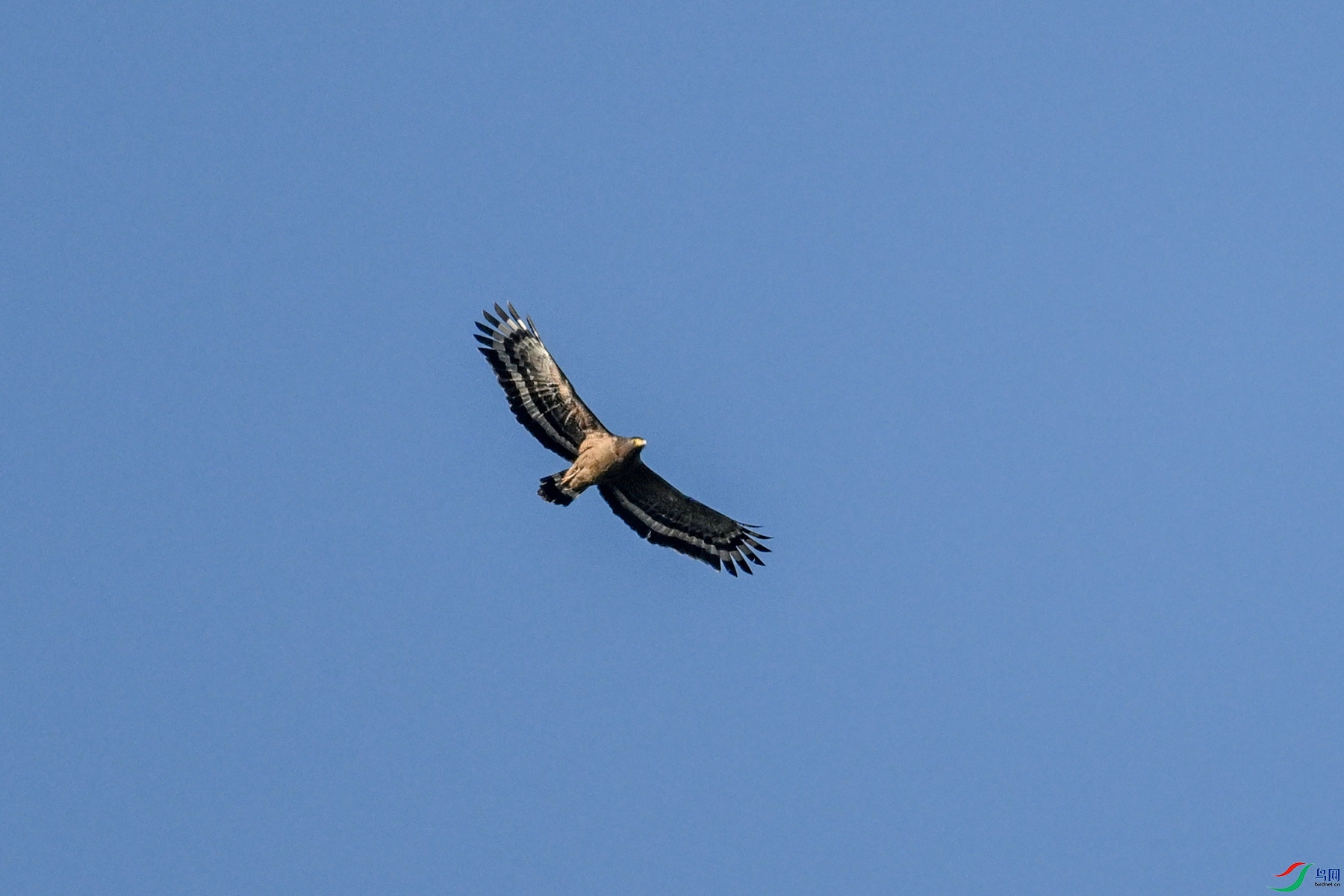 DSC_6202.JPG