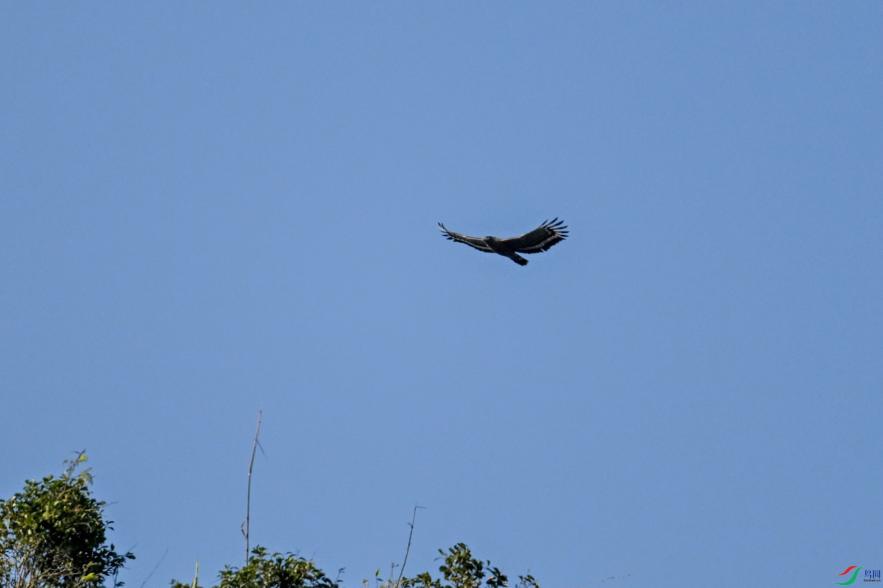 DSC_6221.JPG