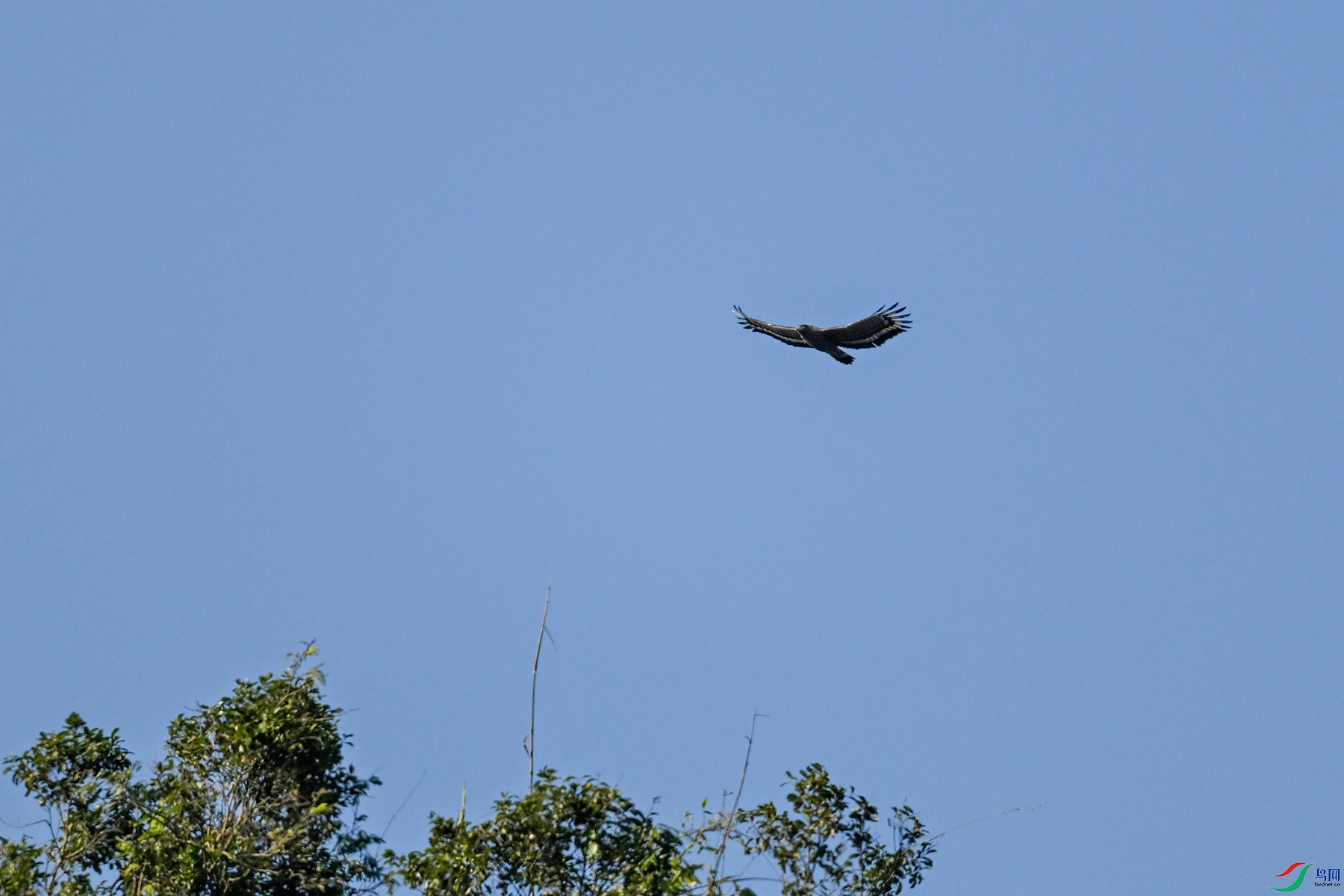 DSC_6223.JPG