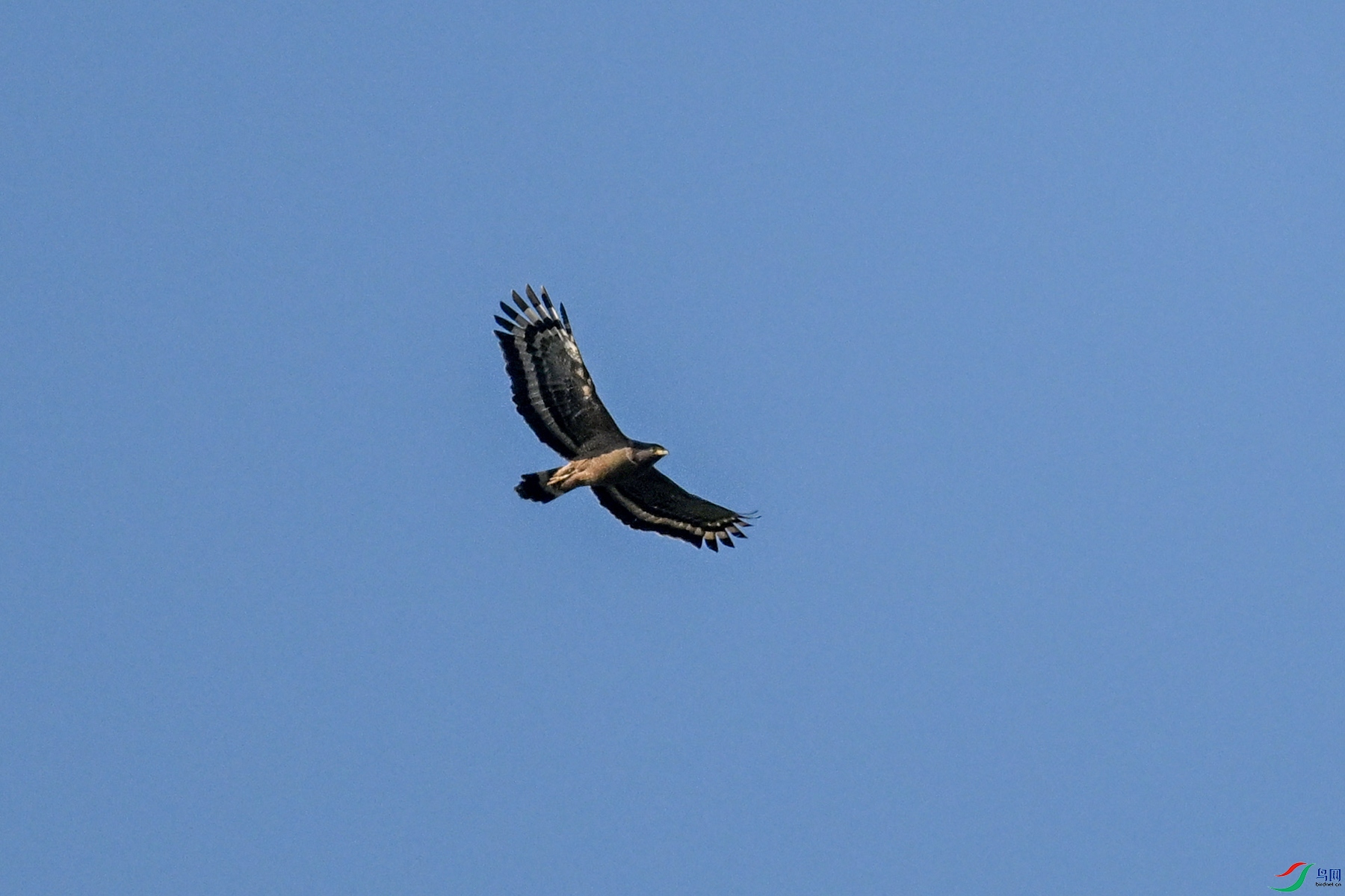 DSC_6206.JPG