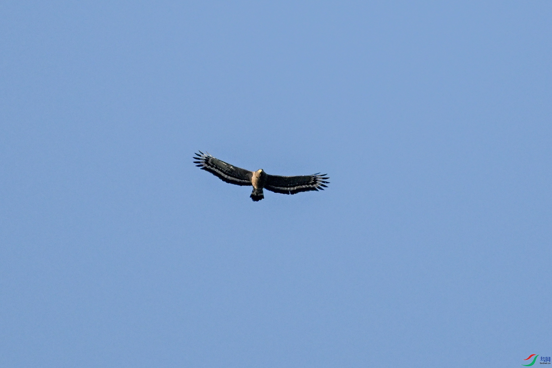 DSC_6225.JPG