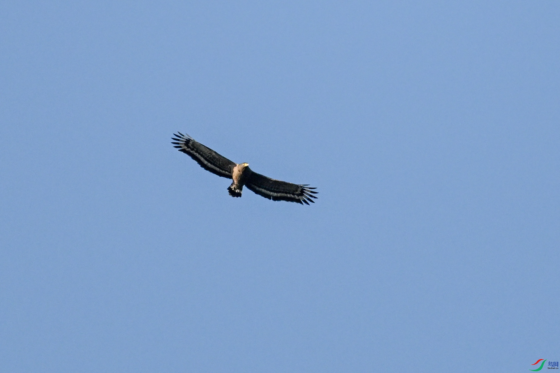 DSC_6227.JPG