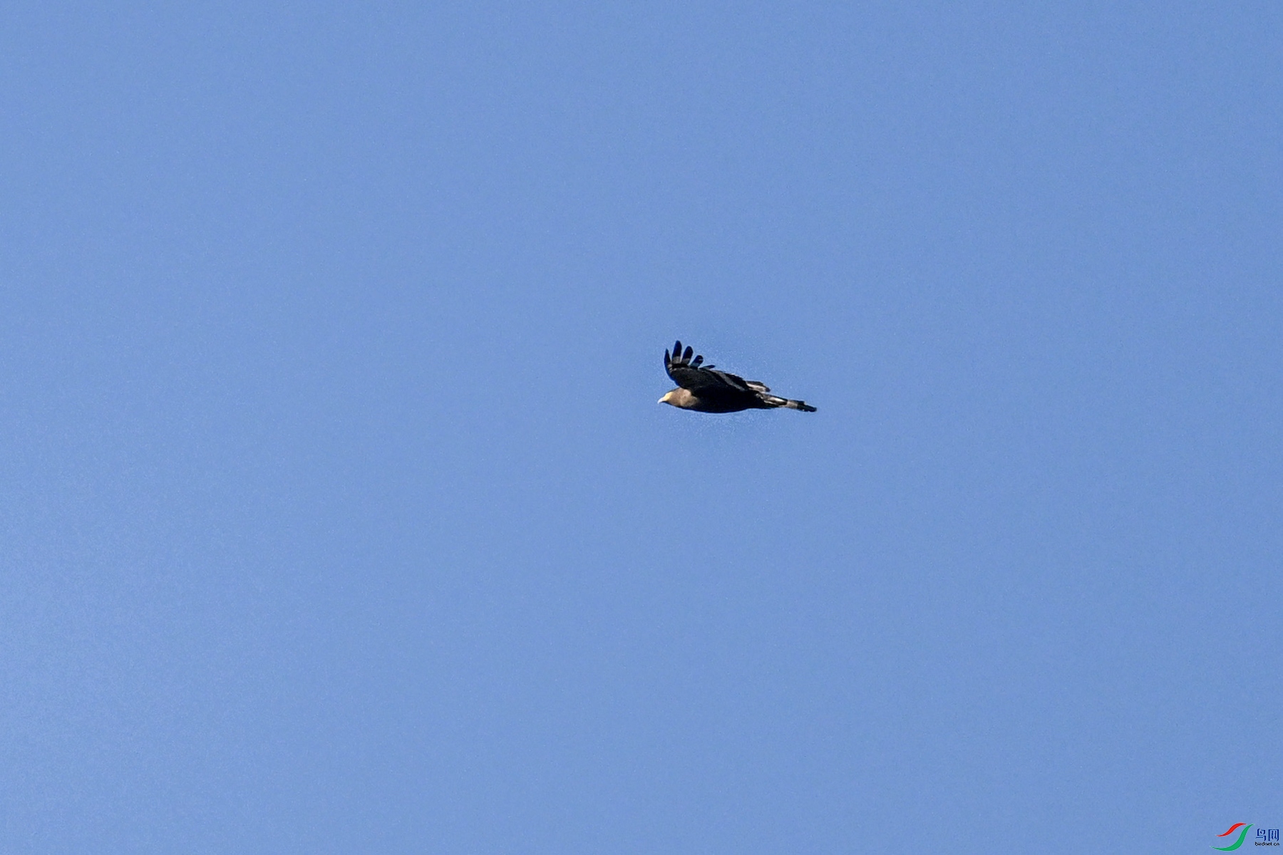 DSC_6210.JPG