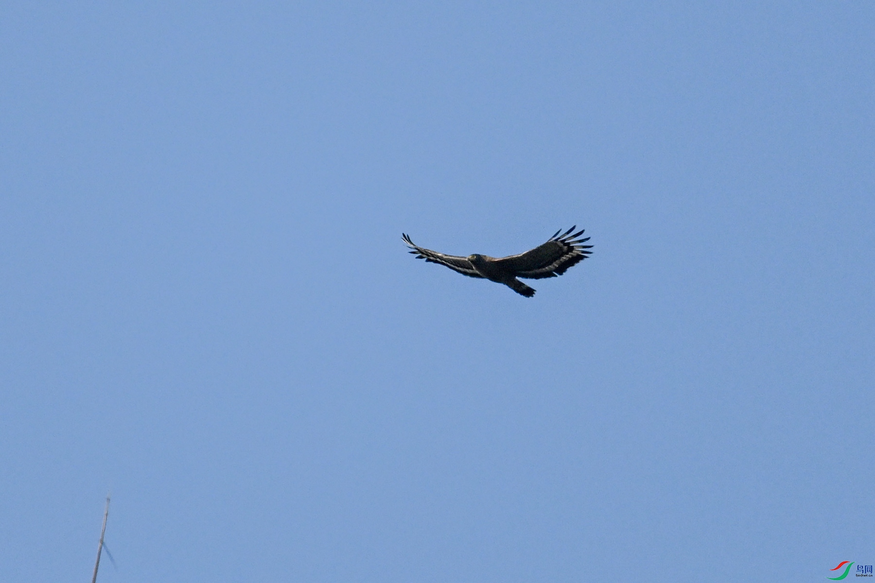 DSC_6220.JPG