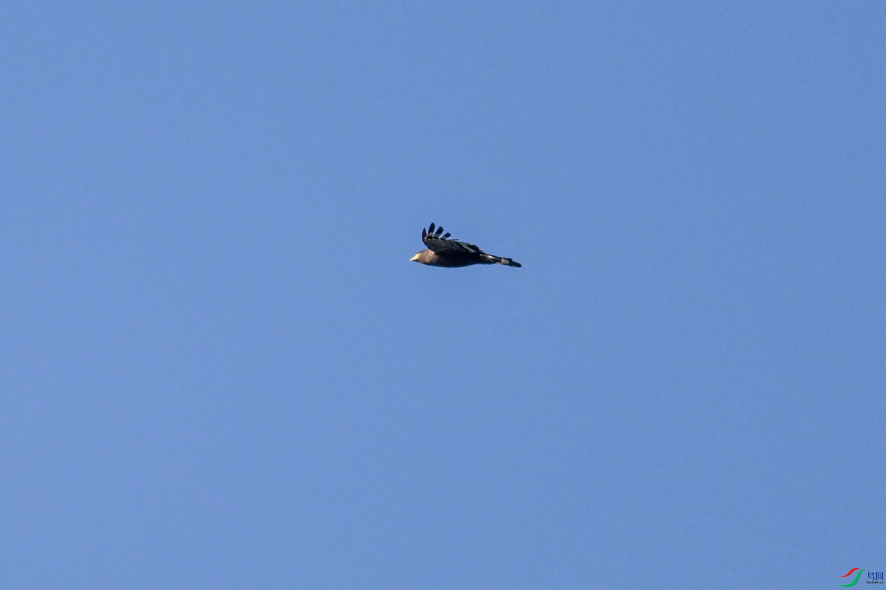 DSC_6213.JPG