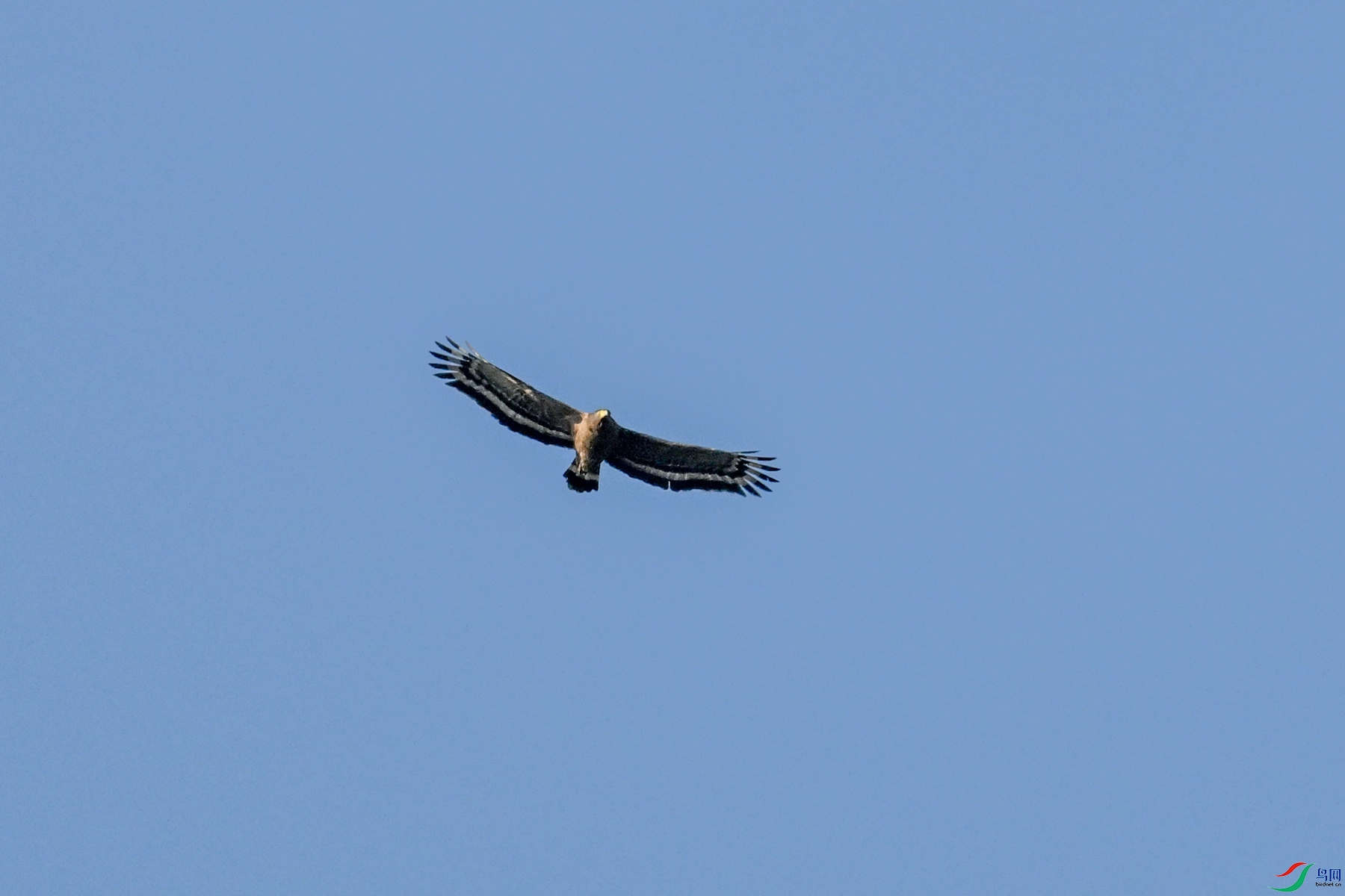 DSC_6226.JPG