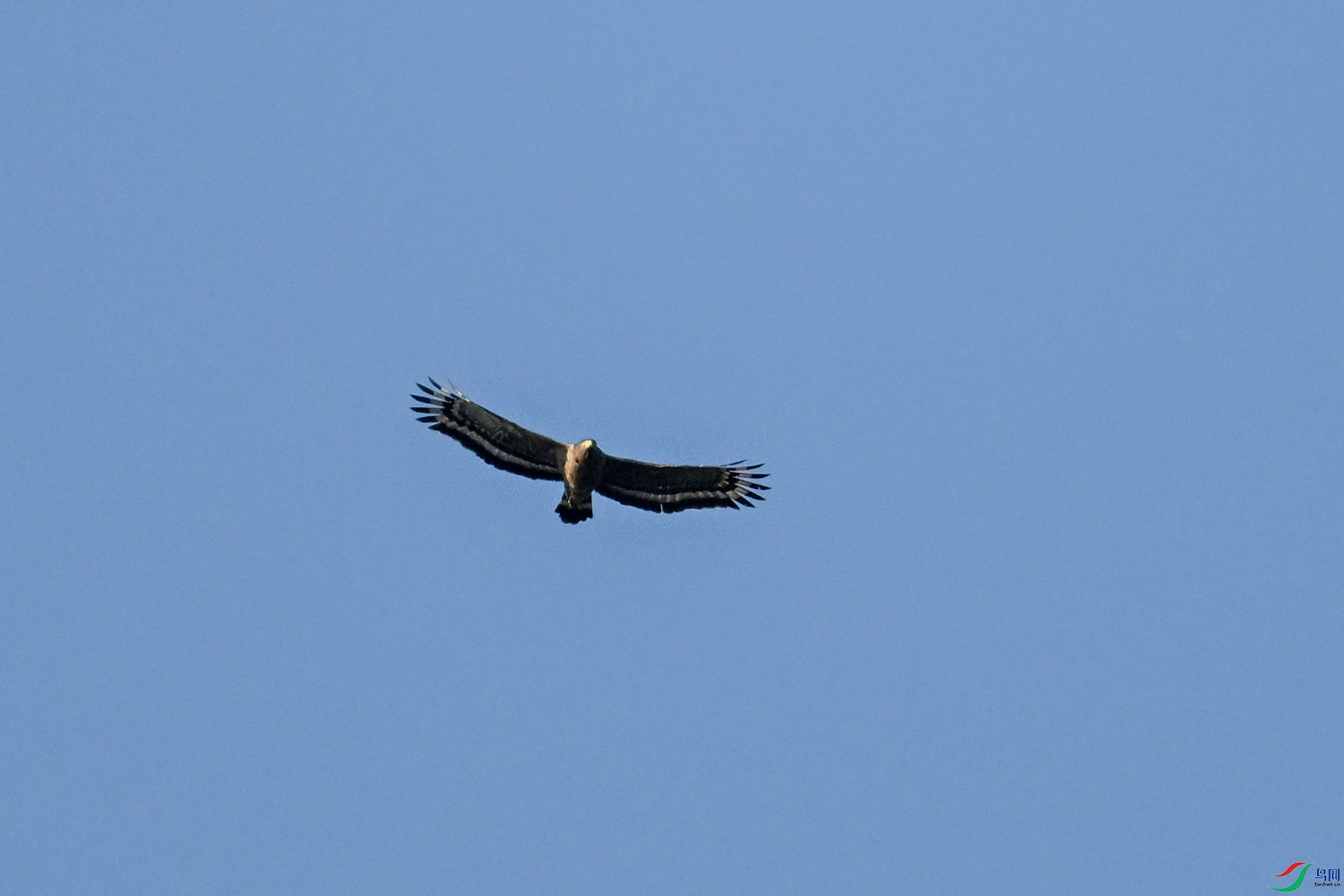 DSC_6224.JPG