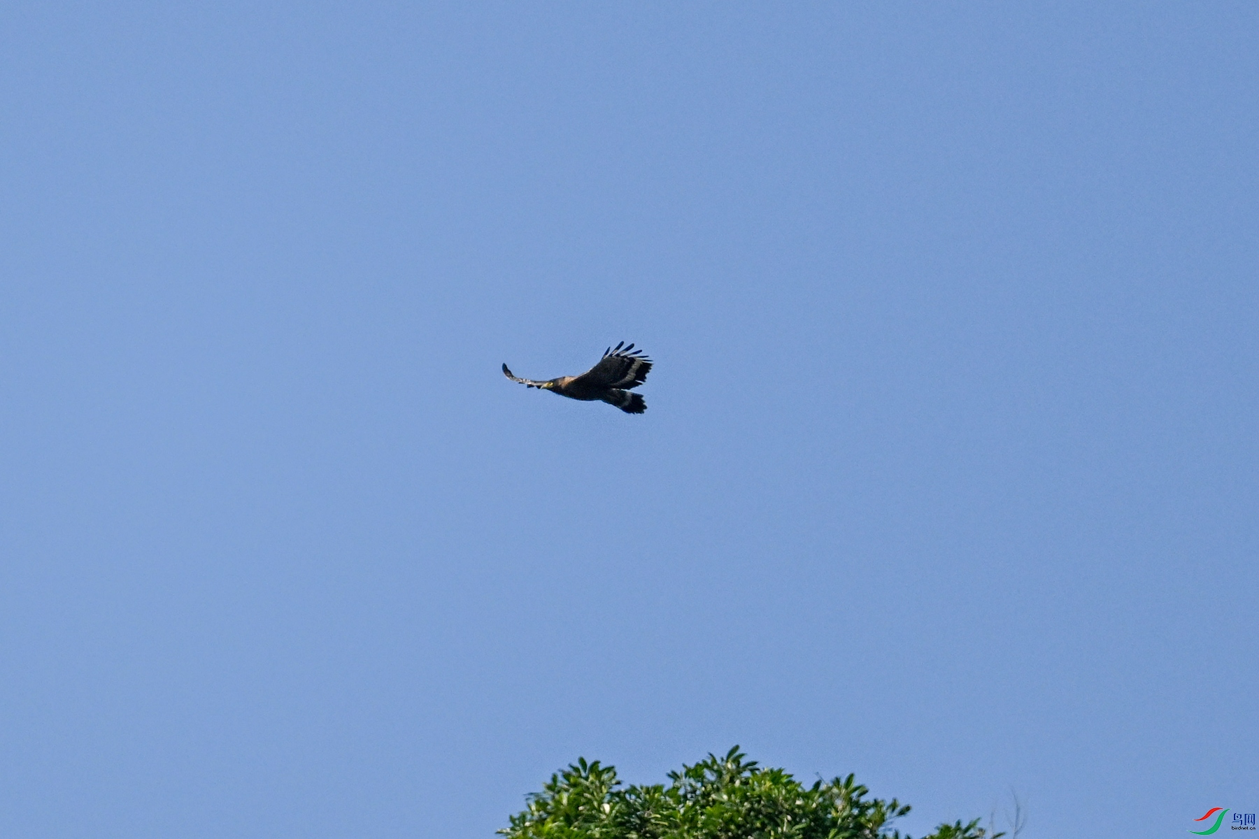 DSC_6218.JPG