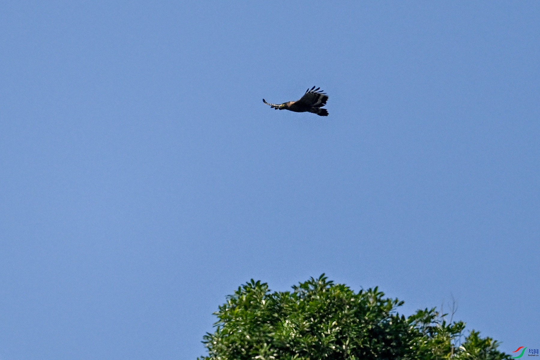 DSC_6216.JPG