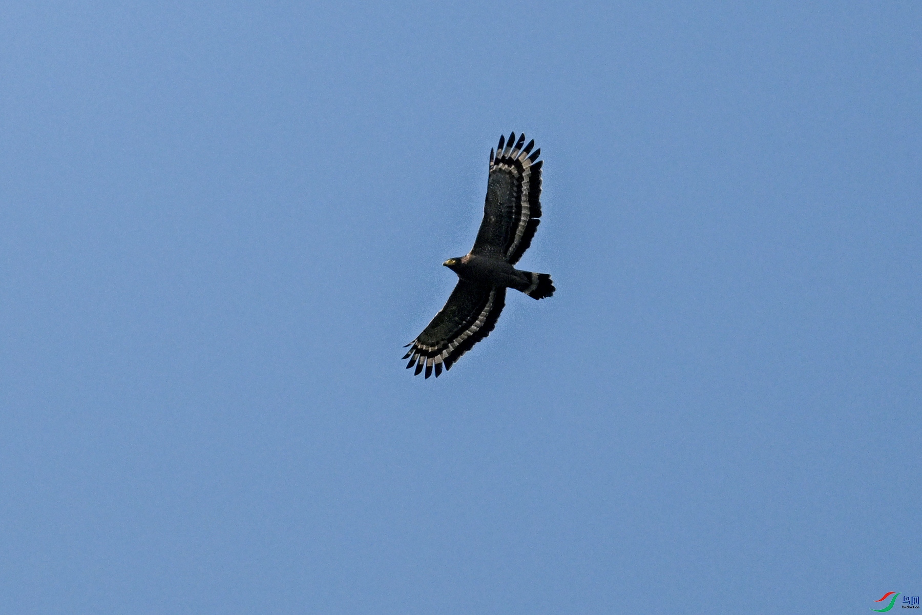 DSC_6181.JPG