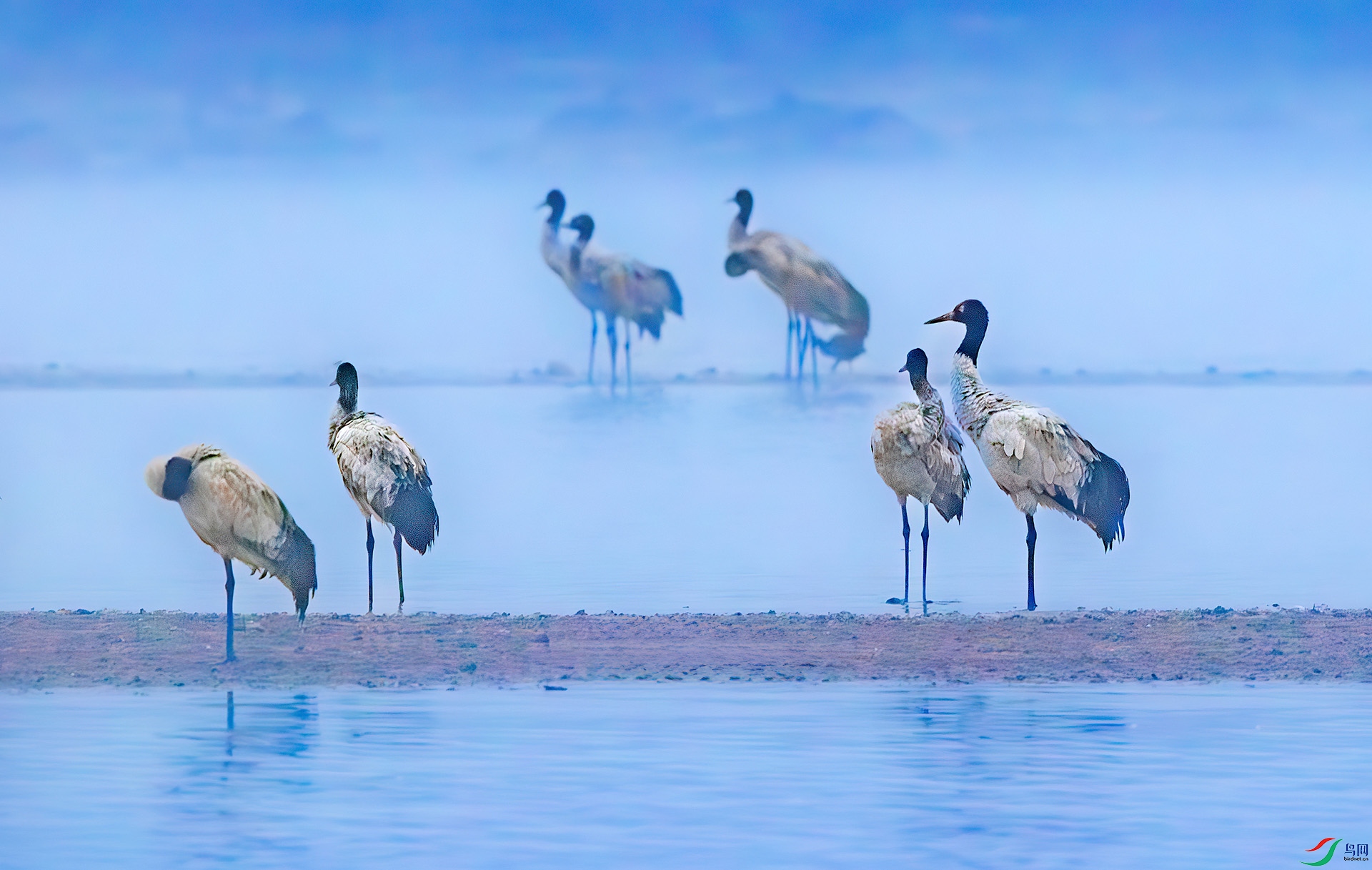 L25_8319-����ǿ-NR ����.jpg