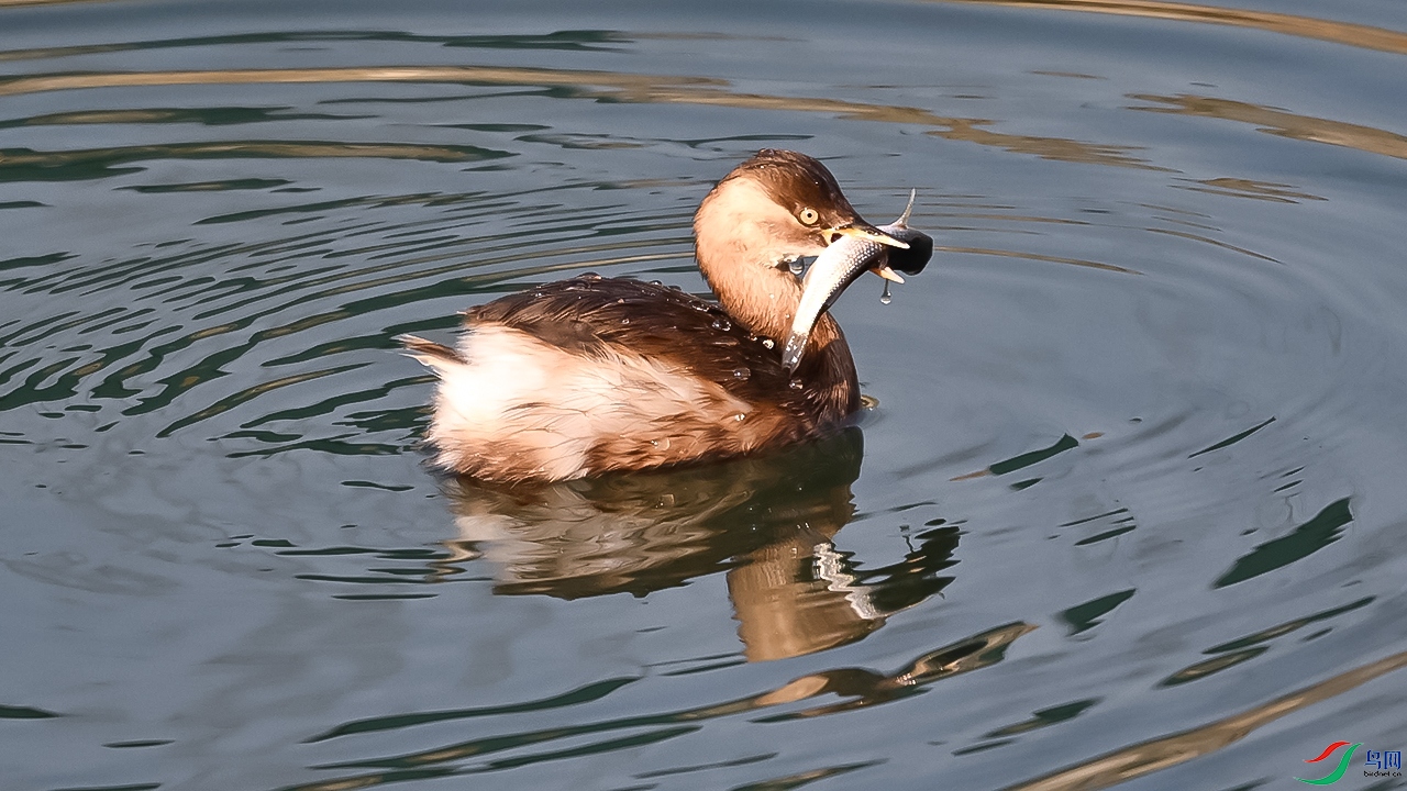 DSC_0113=.jpg