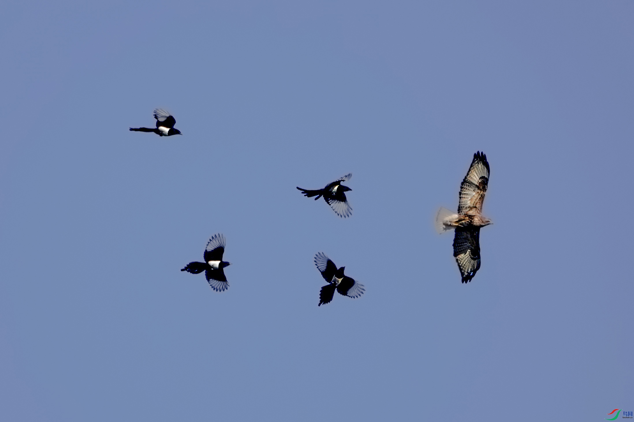 DSC04809.JPG