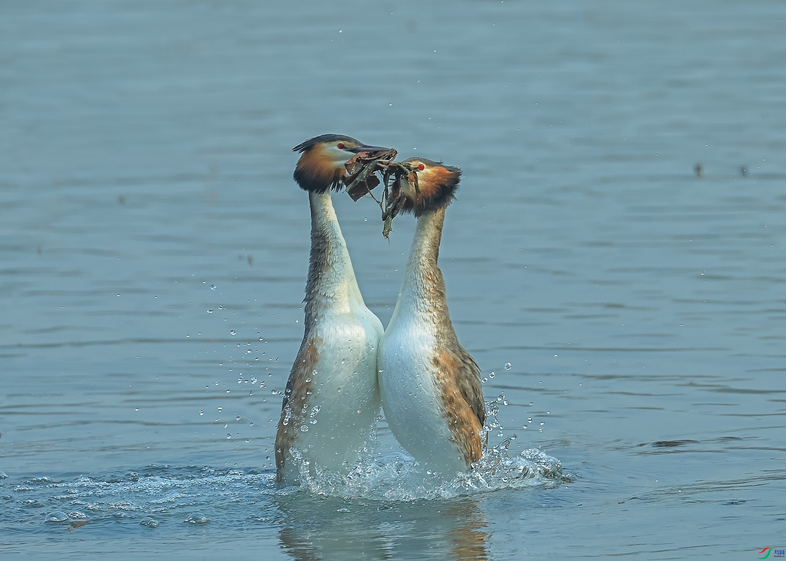 L10A0446 ����.jpg