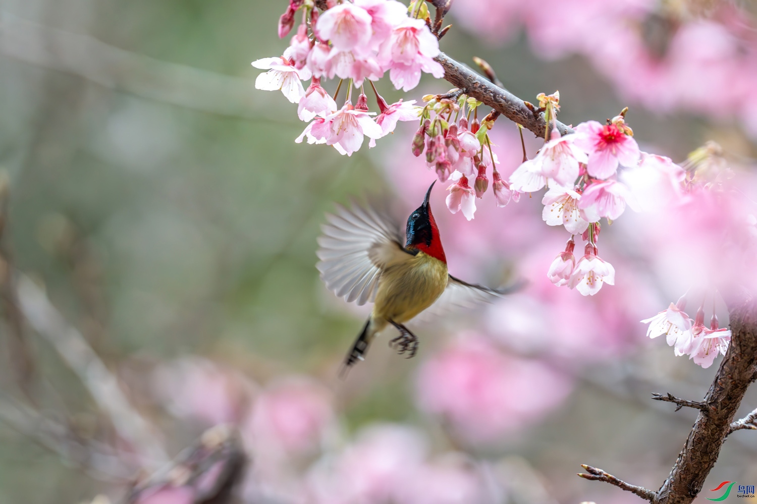 DSC01081-����ǿ-����.jpg