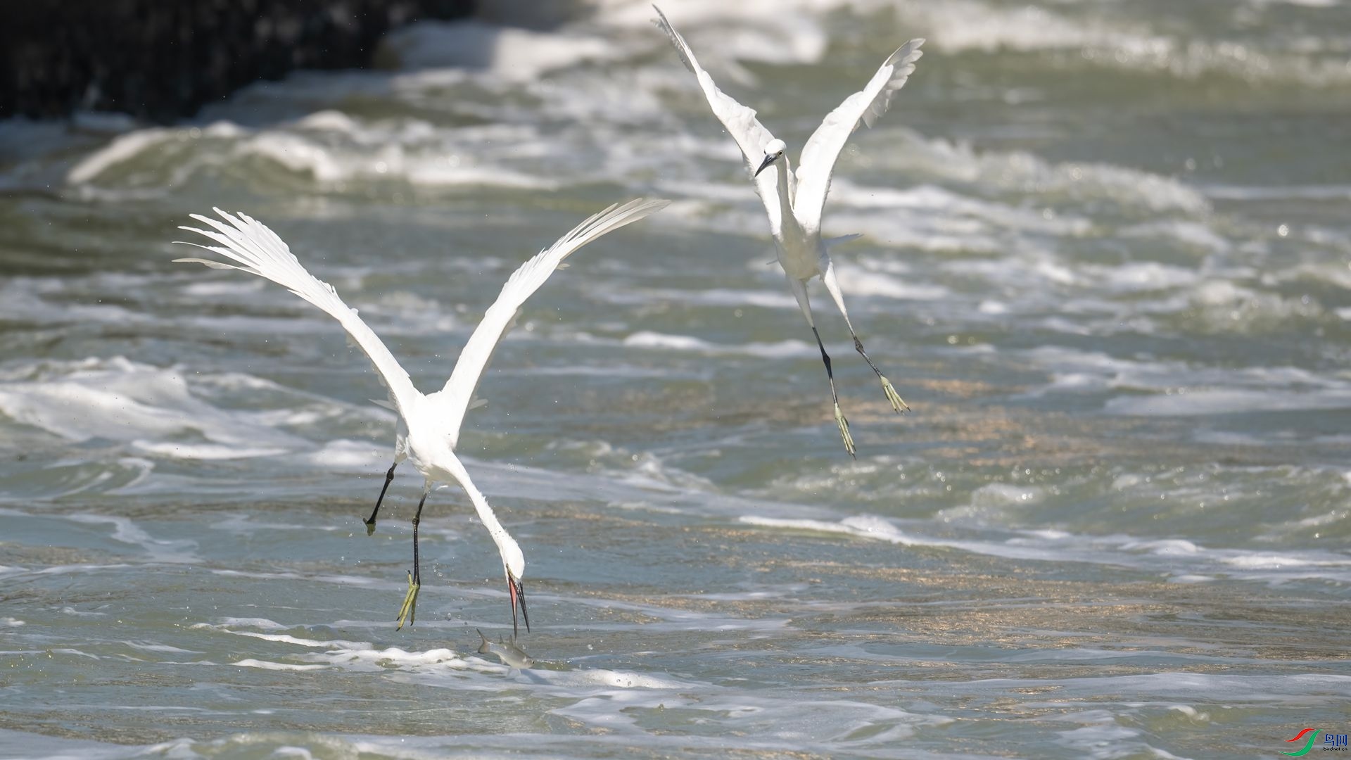 _DSC4275 ����.jpg