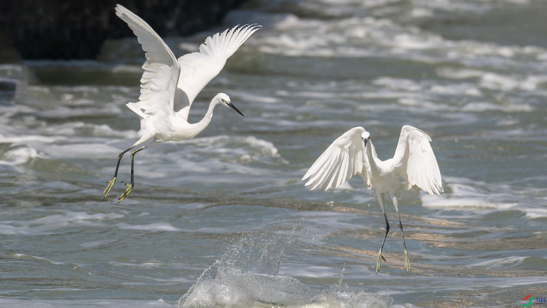 _DSC4304 ����.jpg