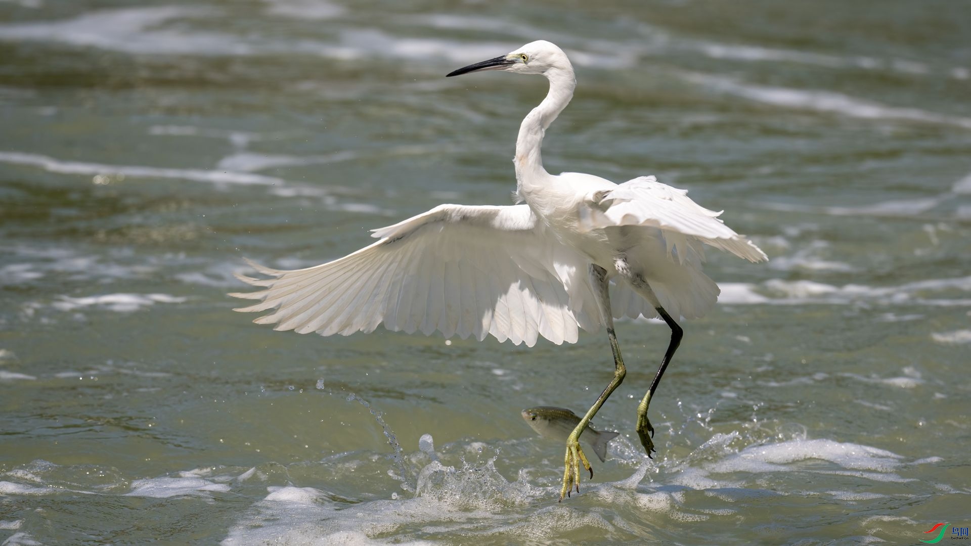 _DSC6204 ����.jpg