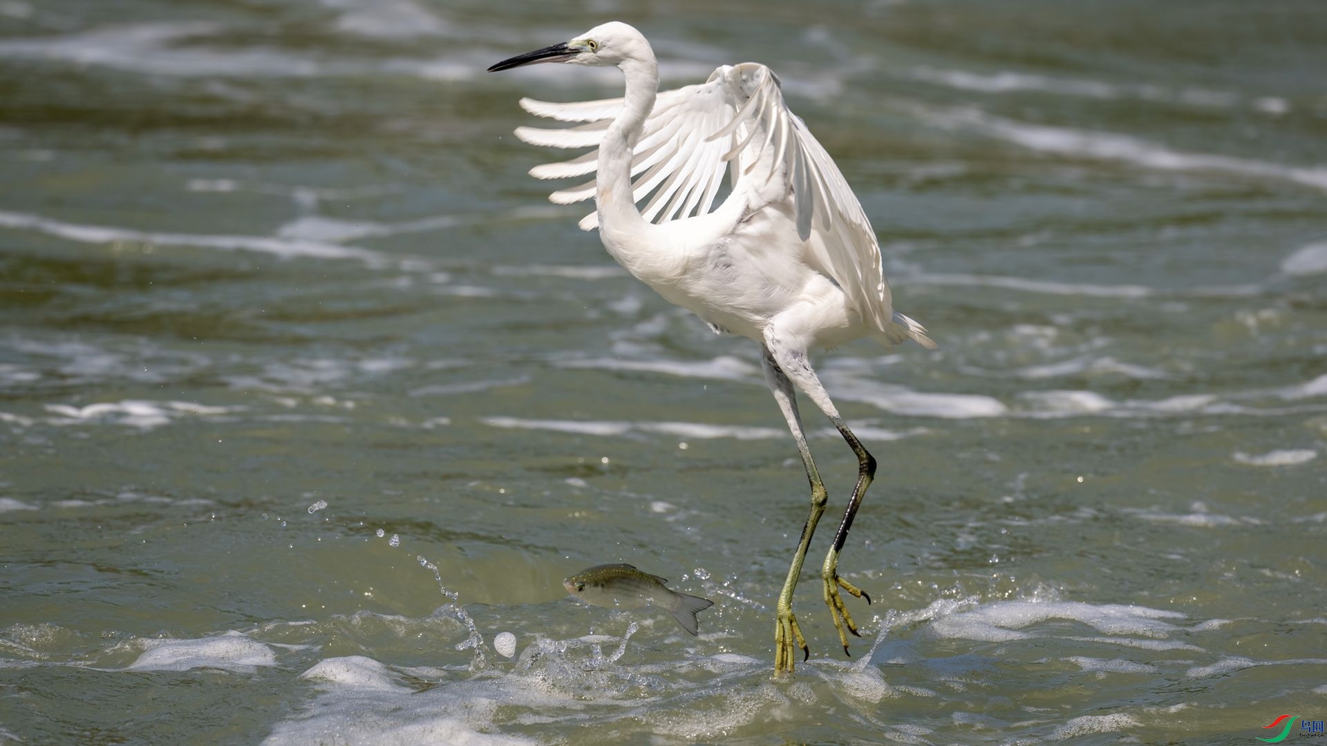 _DSC6205 ����.jpg