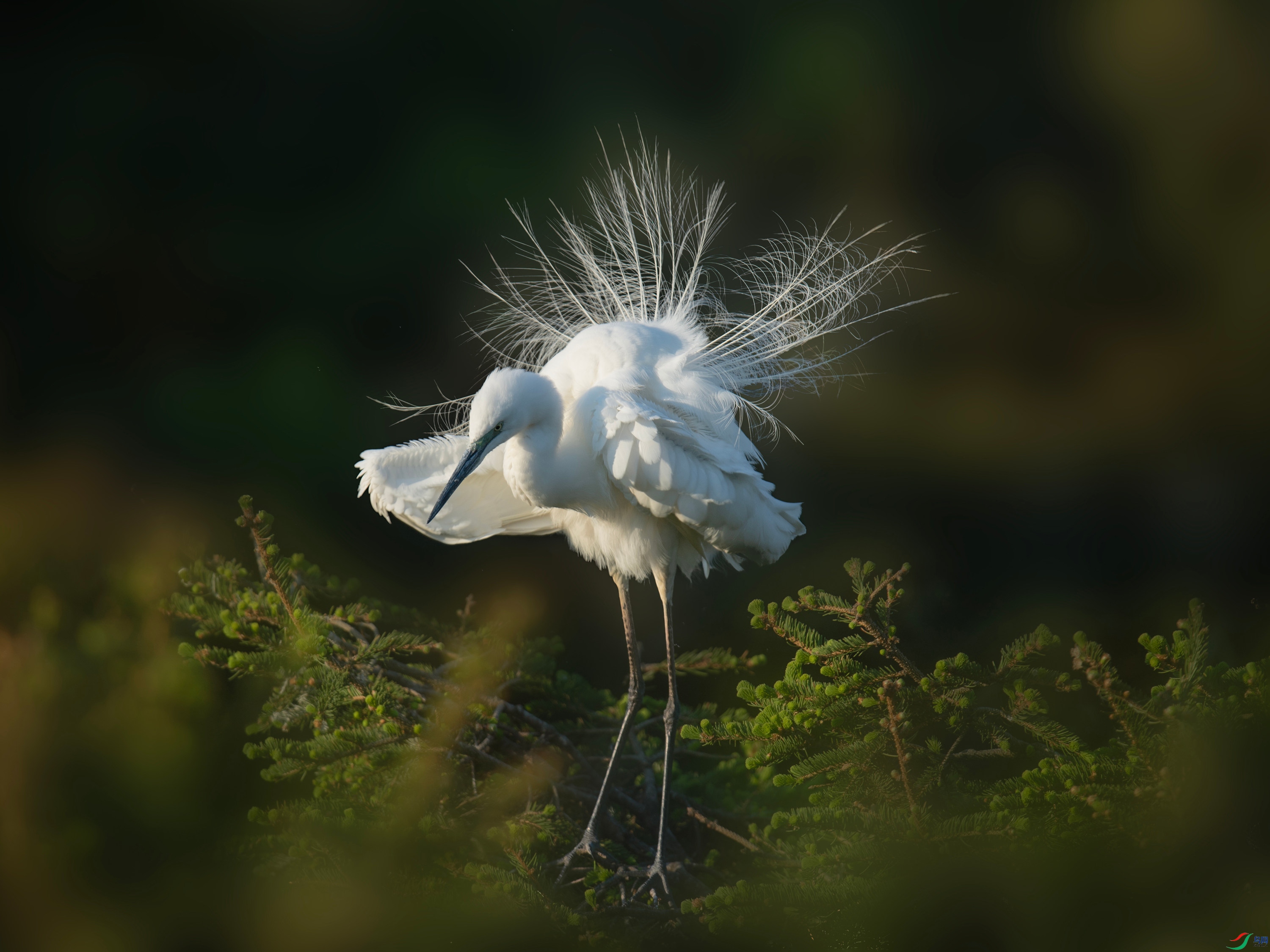 ���� (20).jpg