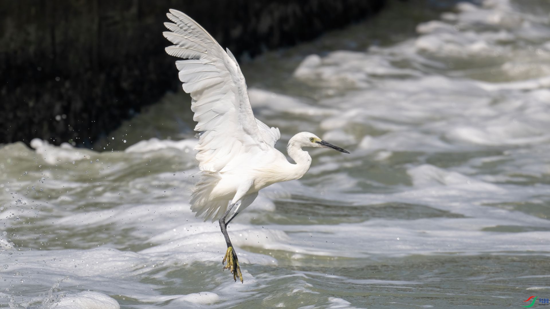 _DSC4828 ����.jpg