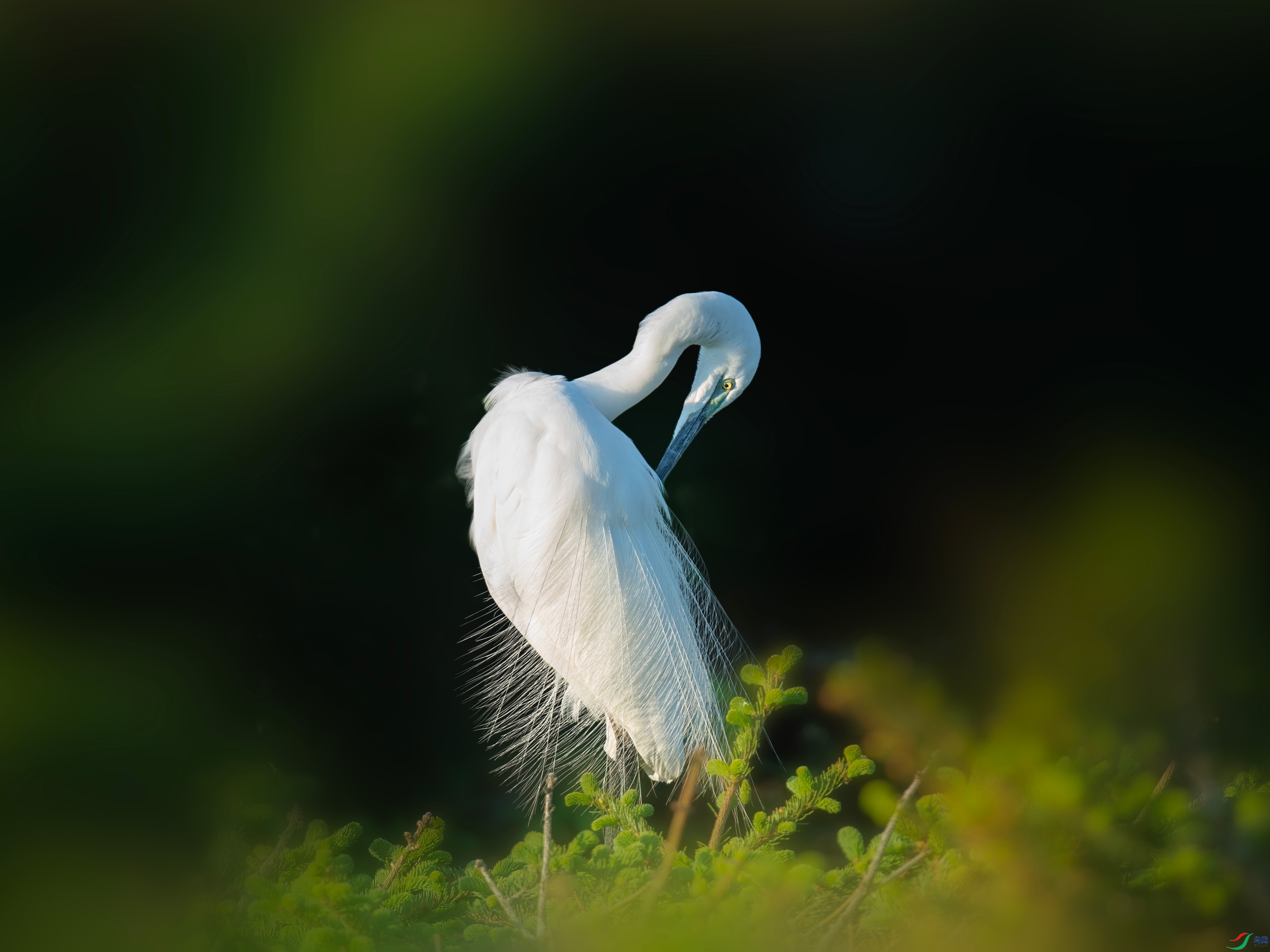 ���� (24).jpg